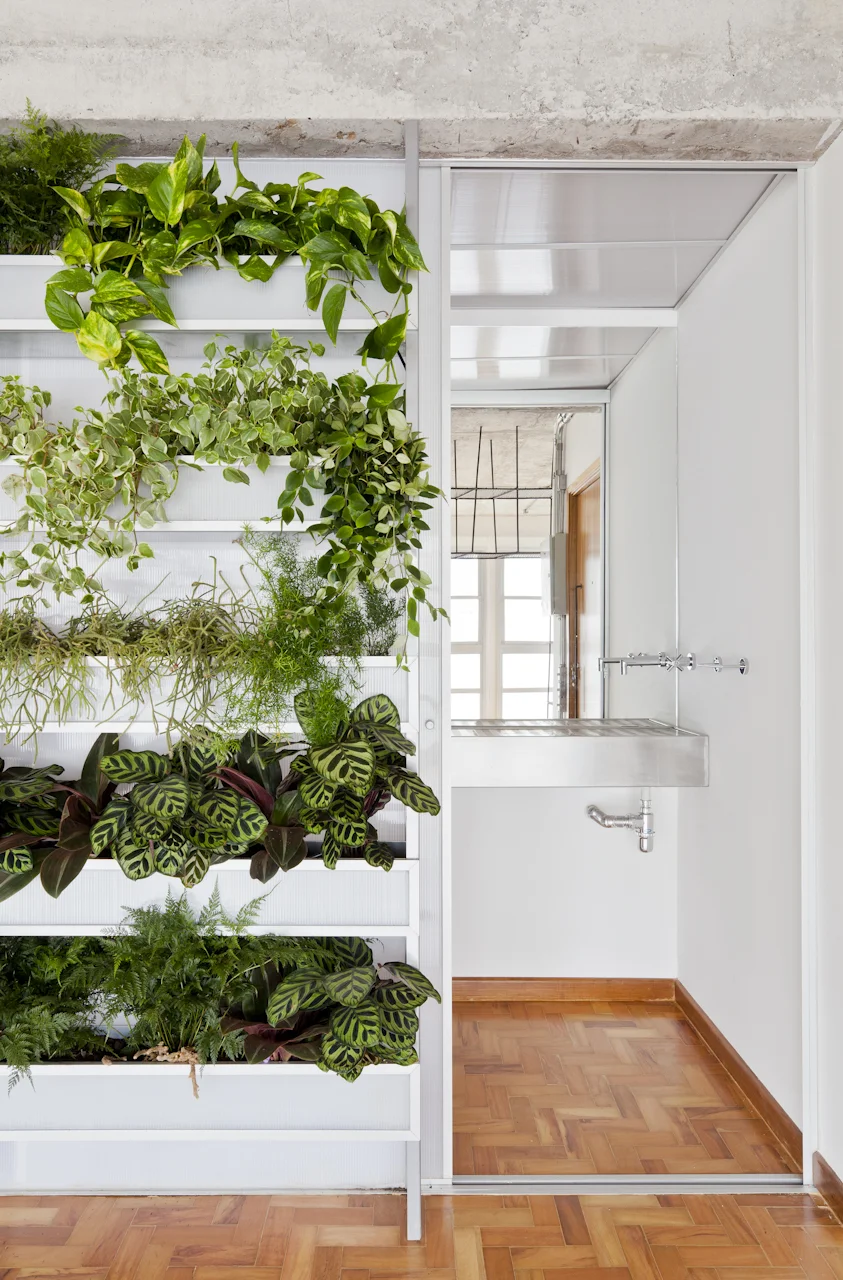 AP PAMPLONA - ZOOM-6.jpg