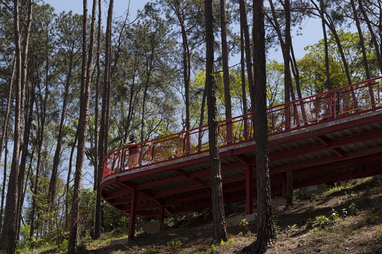 IDOM-8.jpg