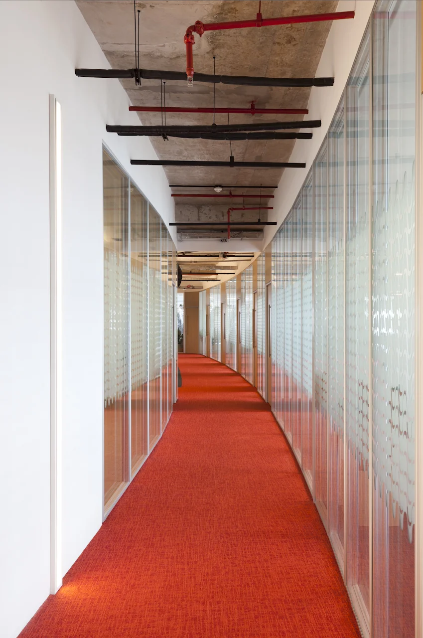 STAGO - AREALIS-4.jpg