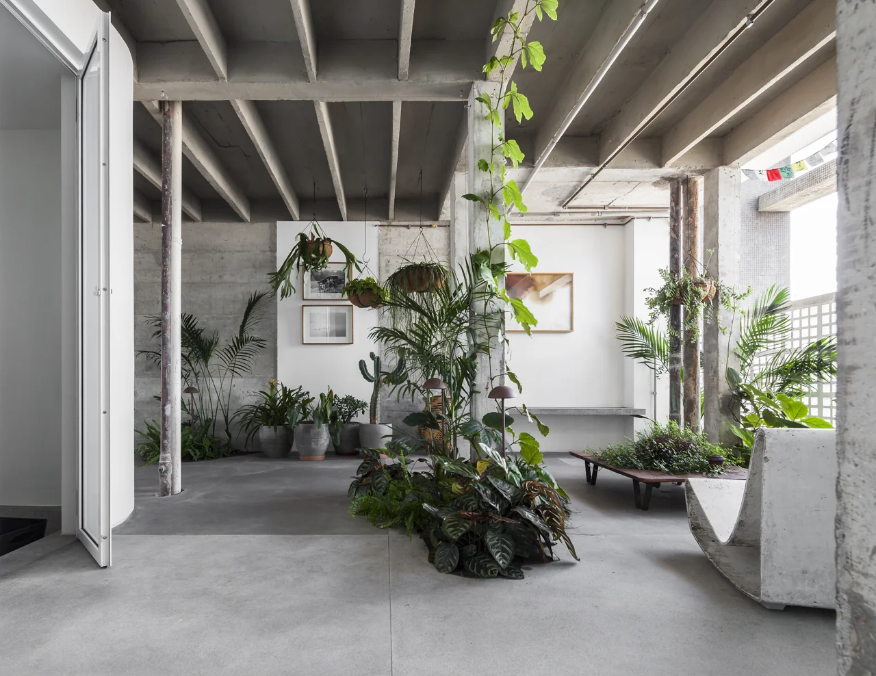 AP COPAN - FELIPE HESS-8.jpg