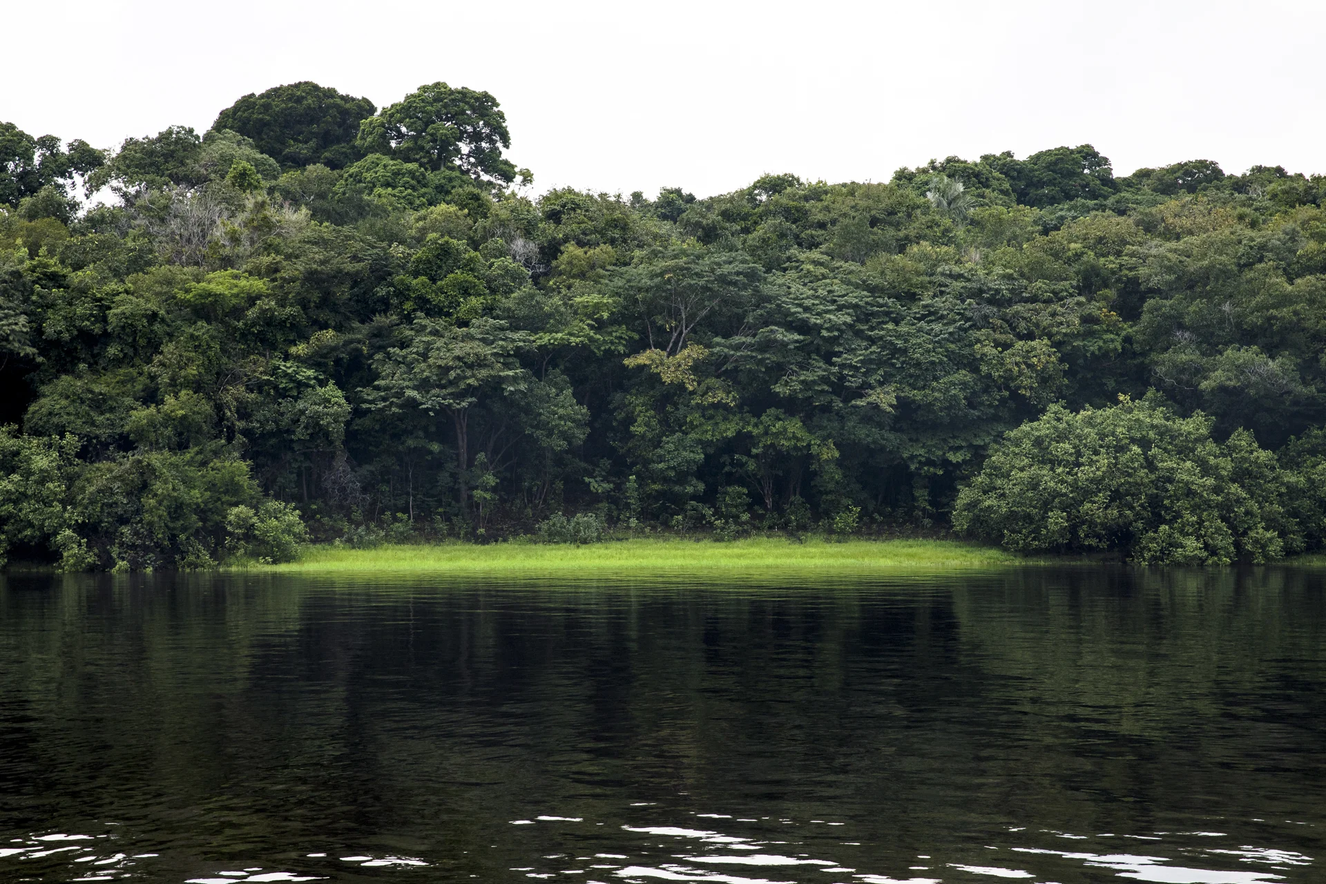 AMAZONIA-1.jpg