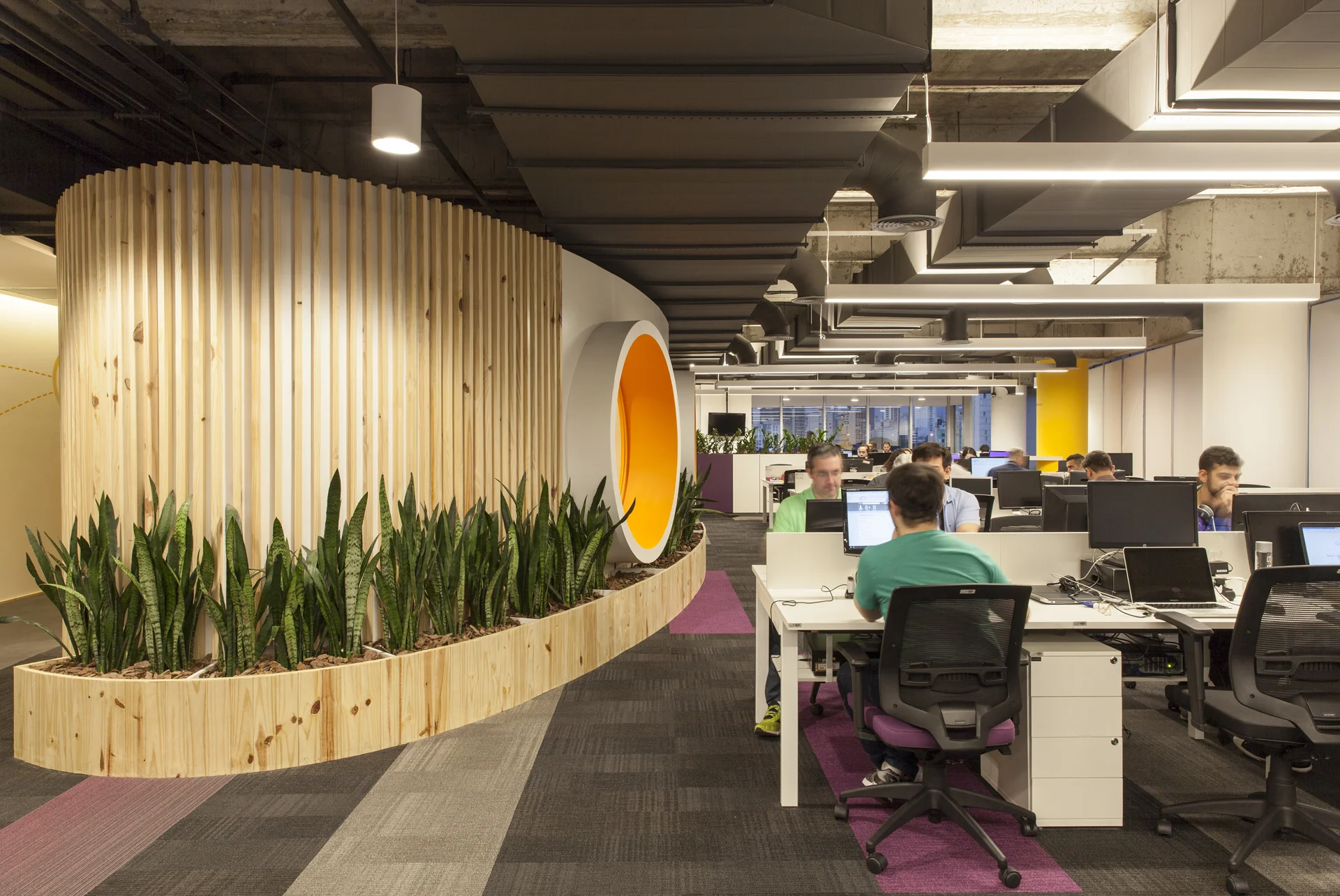 LINX - AREALIS-25.jpg