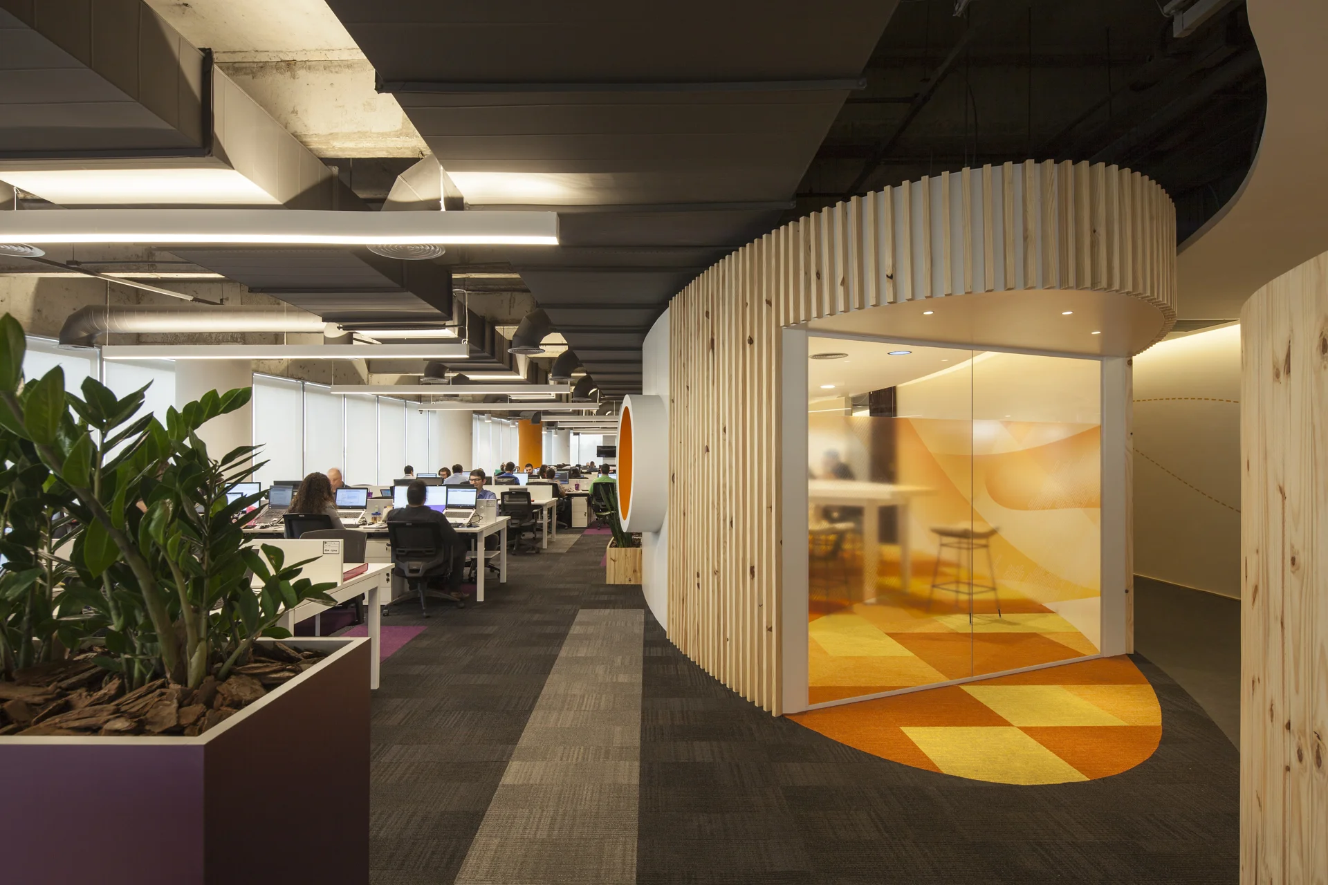 LINX - AREALIS-27.jpg