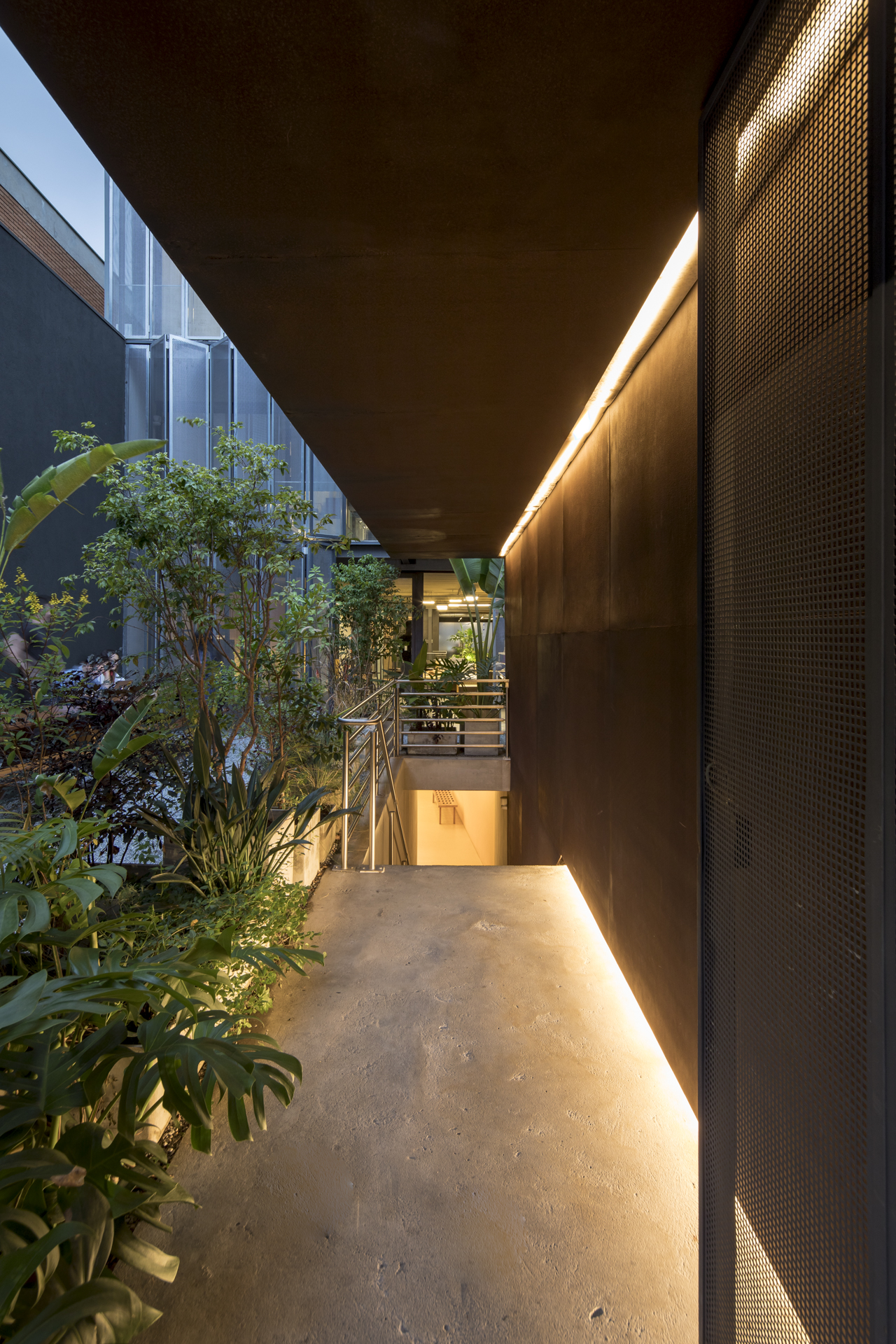 AMPFY - SUPERLIMAO STUDIO-2.jpg