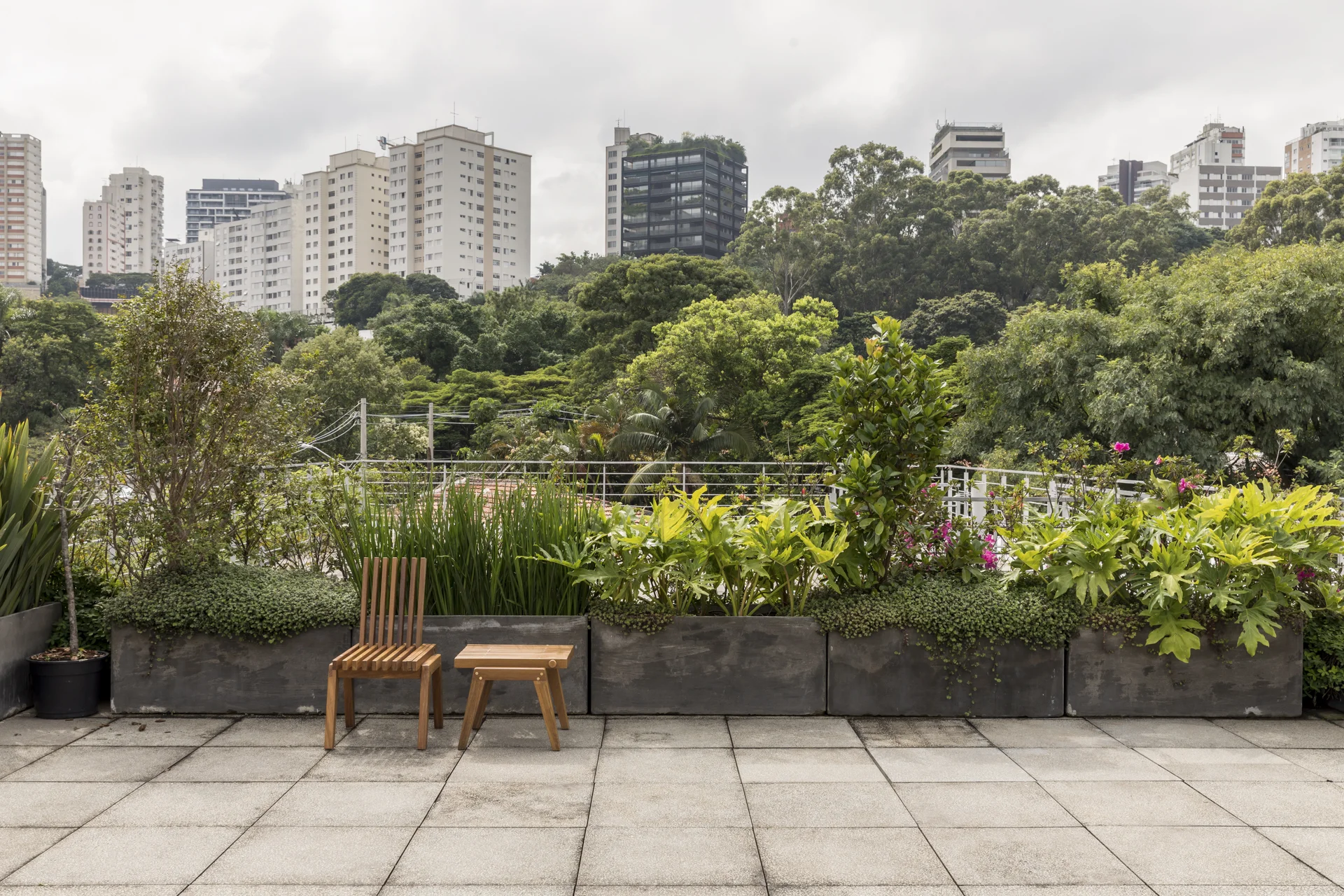 RIZOMA - ESTUDIO PENHA-8.jpg