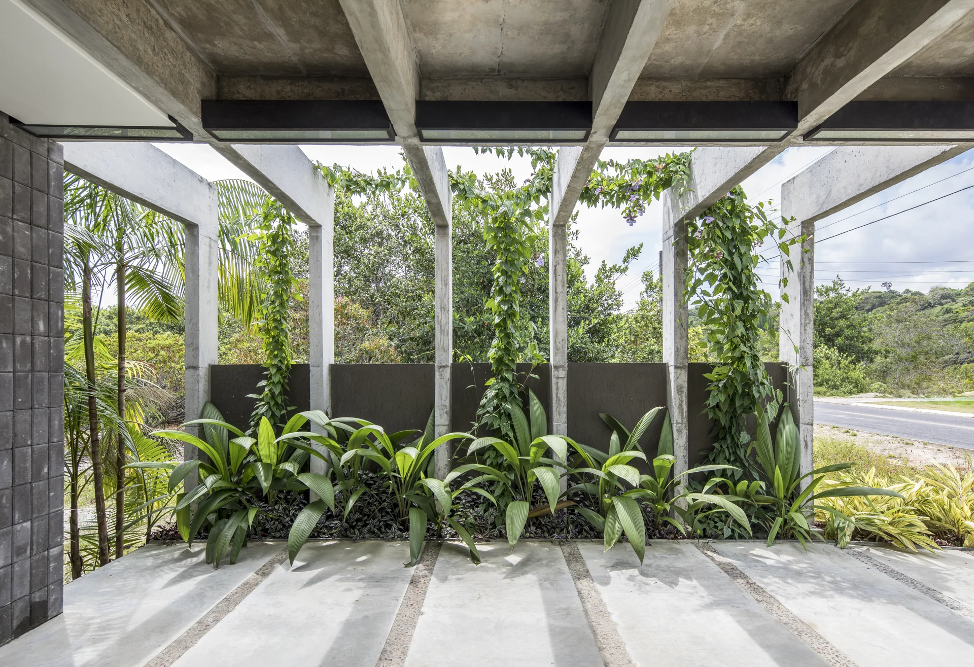 Casa Campinarana - Laurent Troost-5.jpg