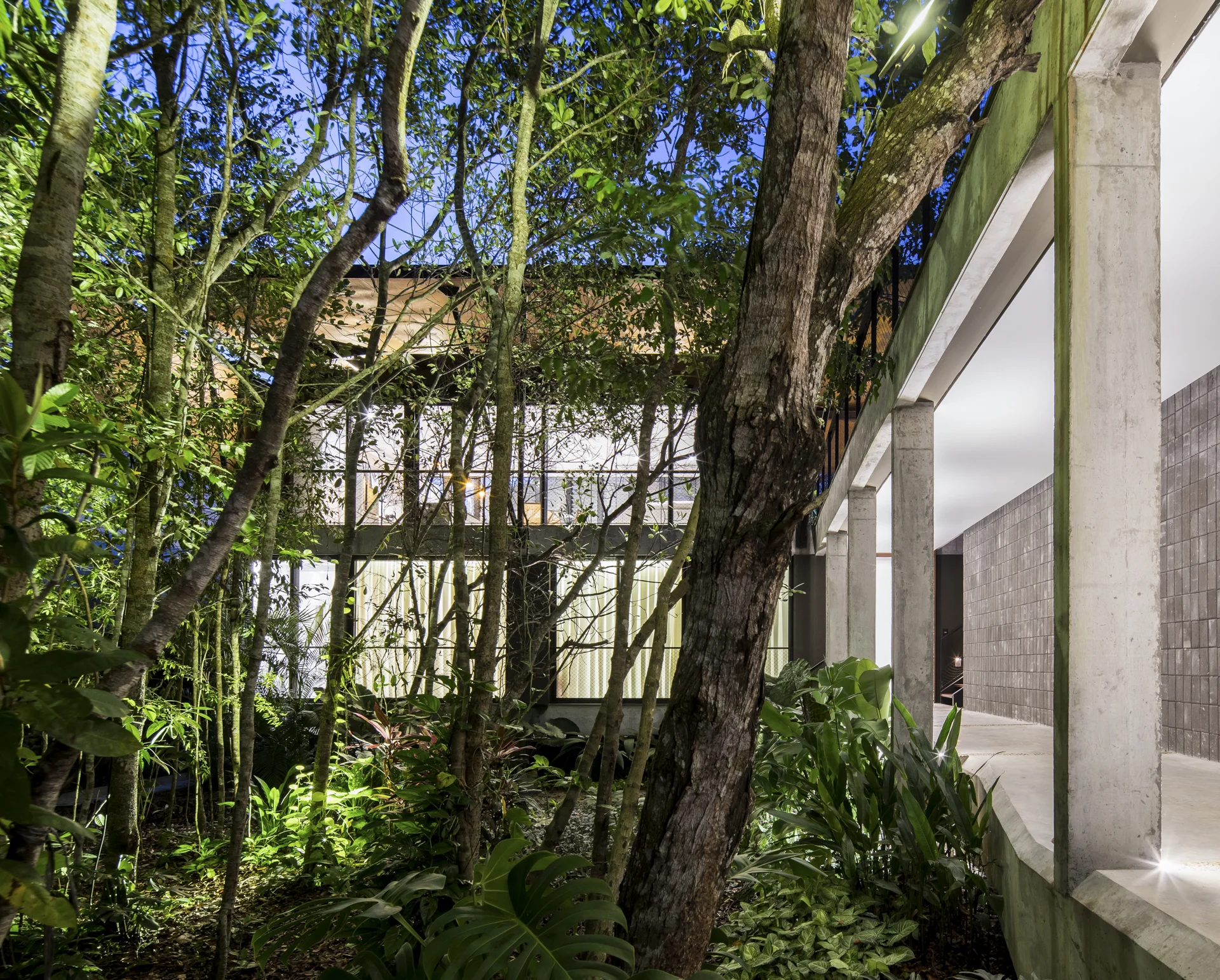 Casa Campinarana - Laurent Troost-8.jpg