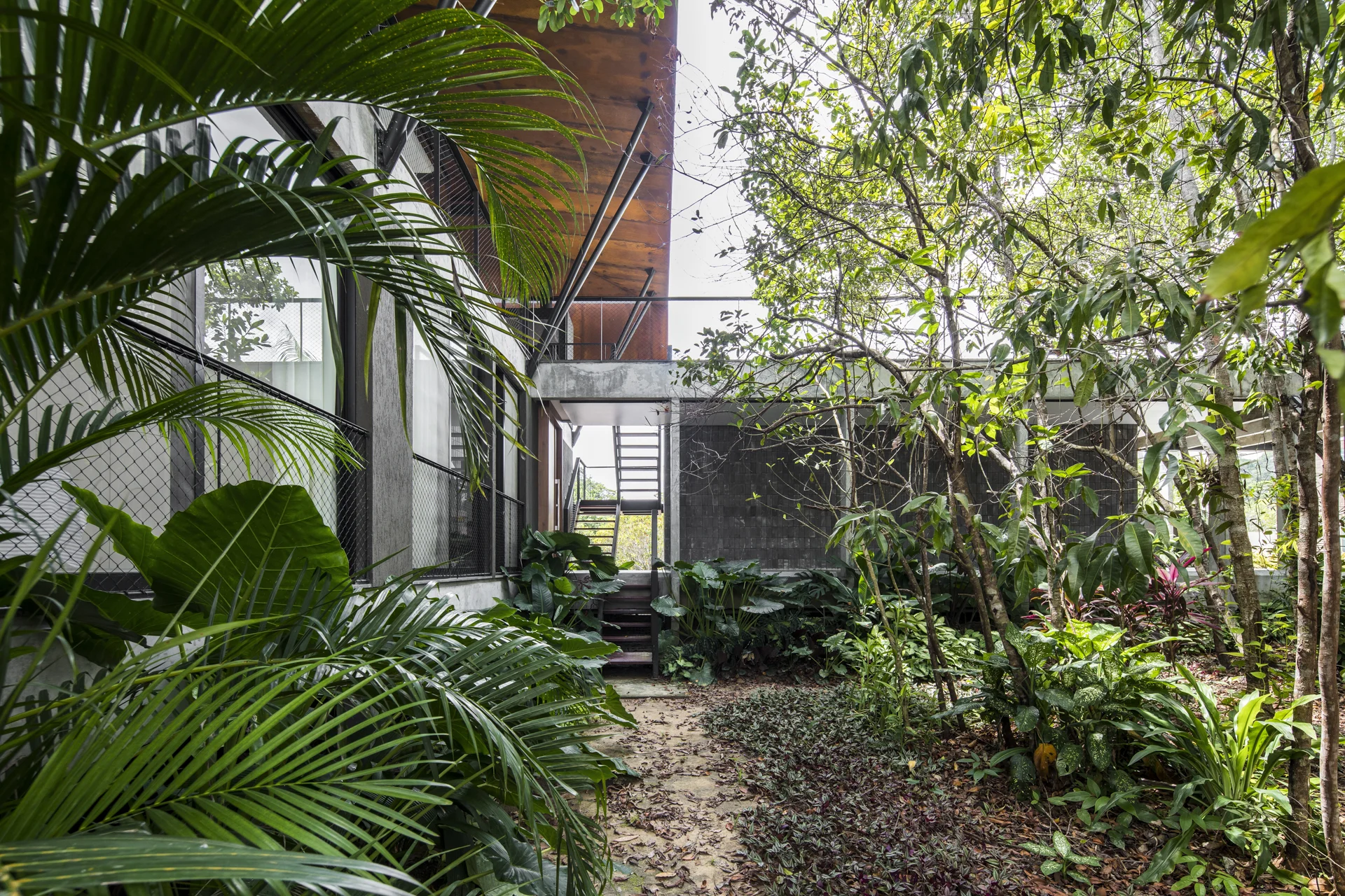 Casa Campinarana - Laurent Troost-11.jpg