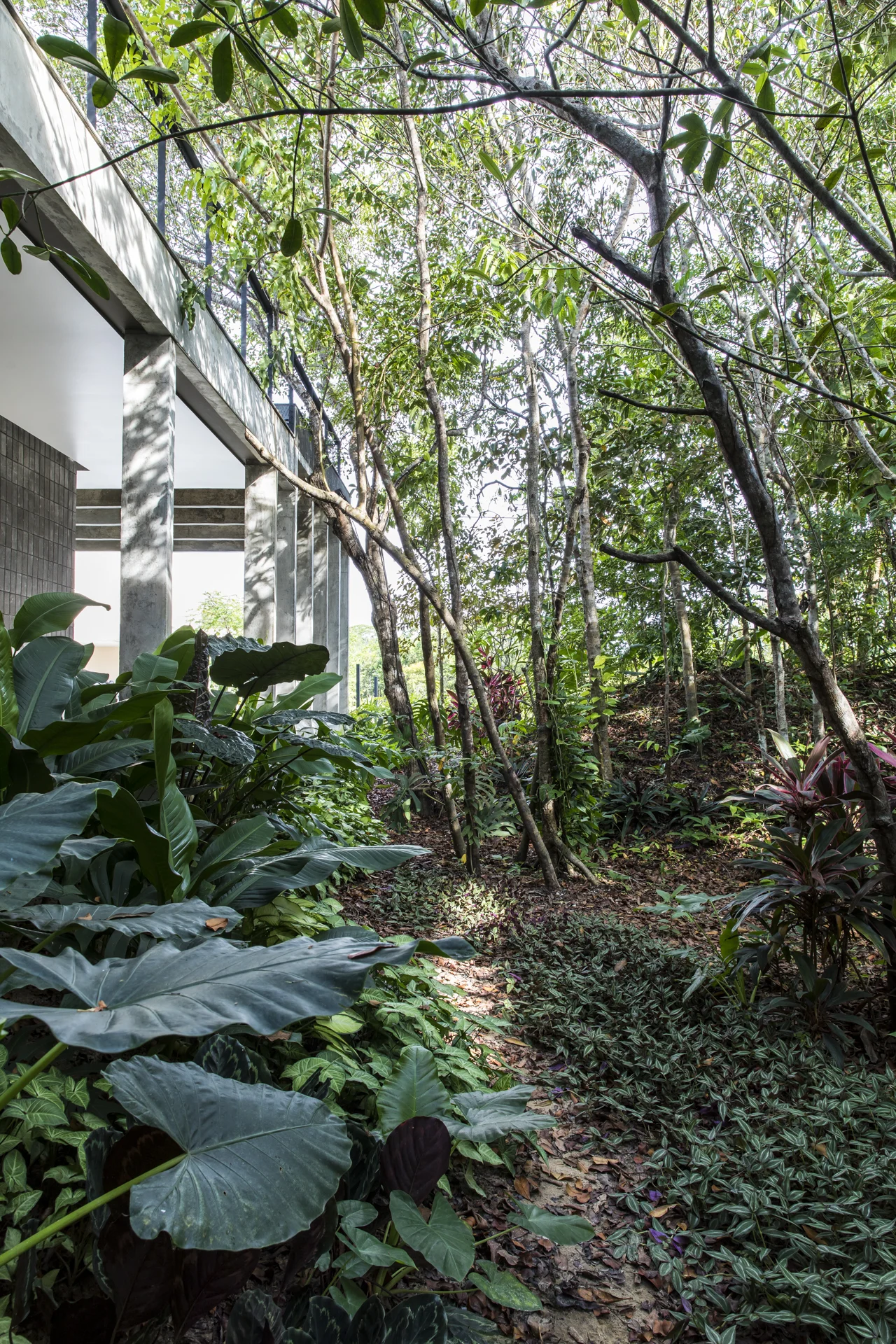 Casa Campinarana - Laurent Troost-12.jpg