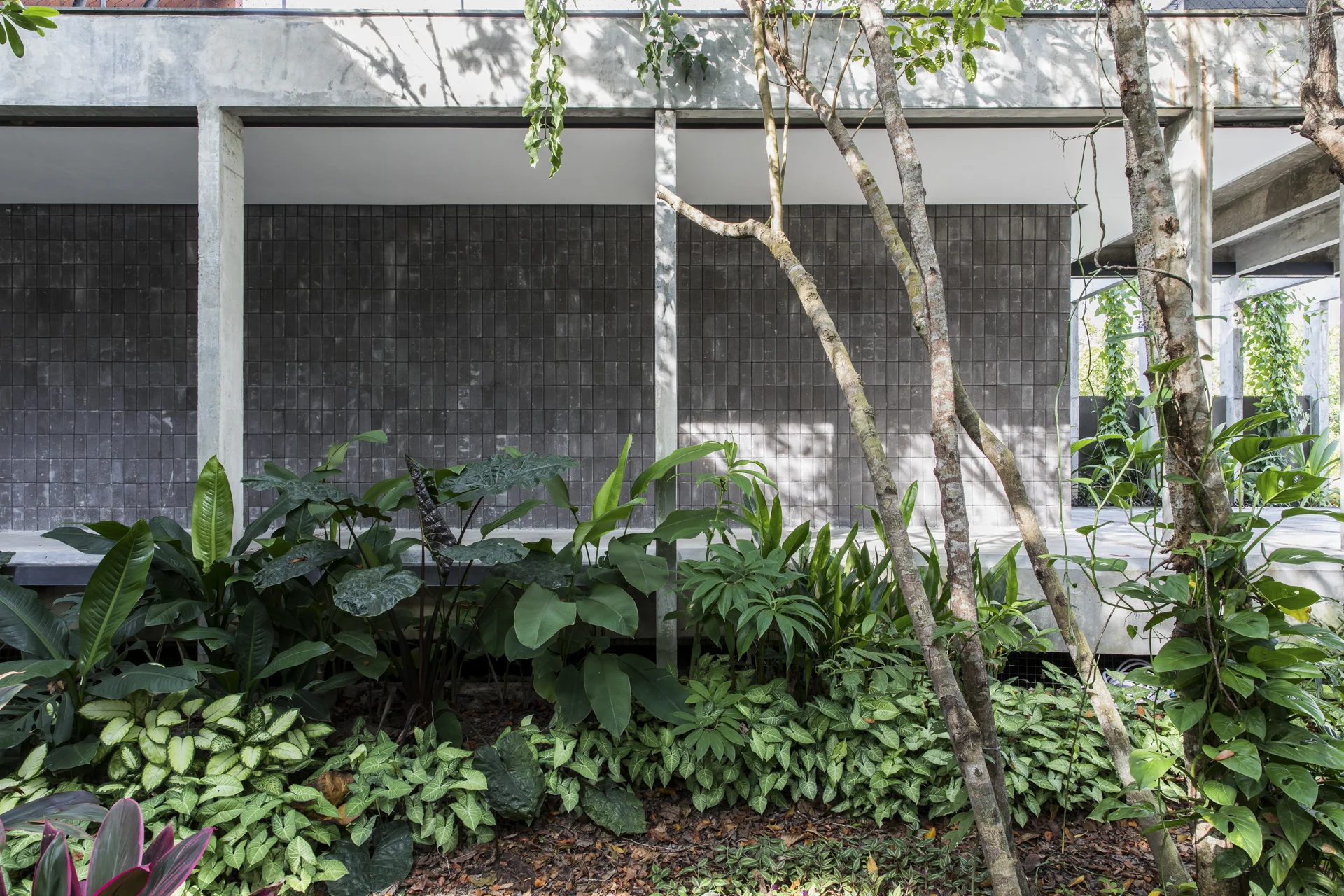 Casa Campinarana - Laurent Troost-13.jpg