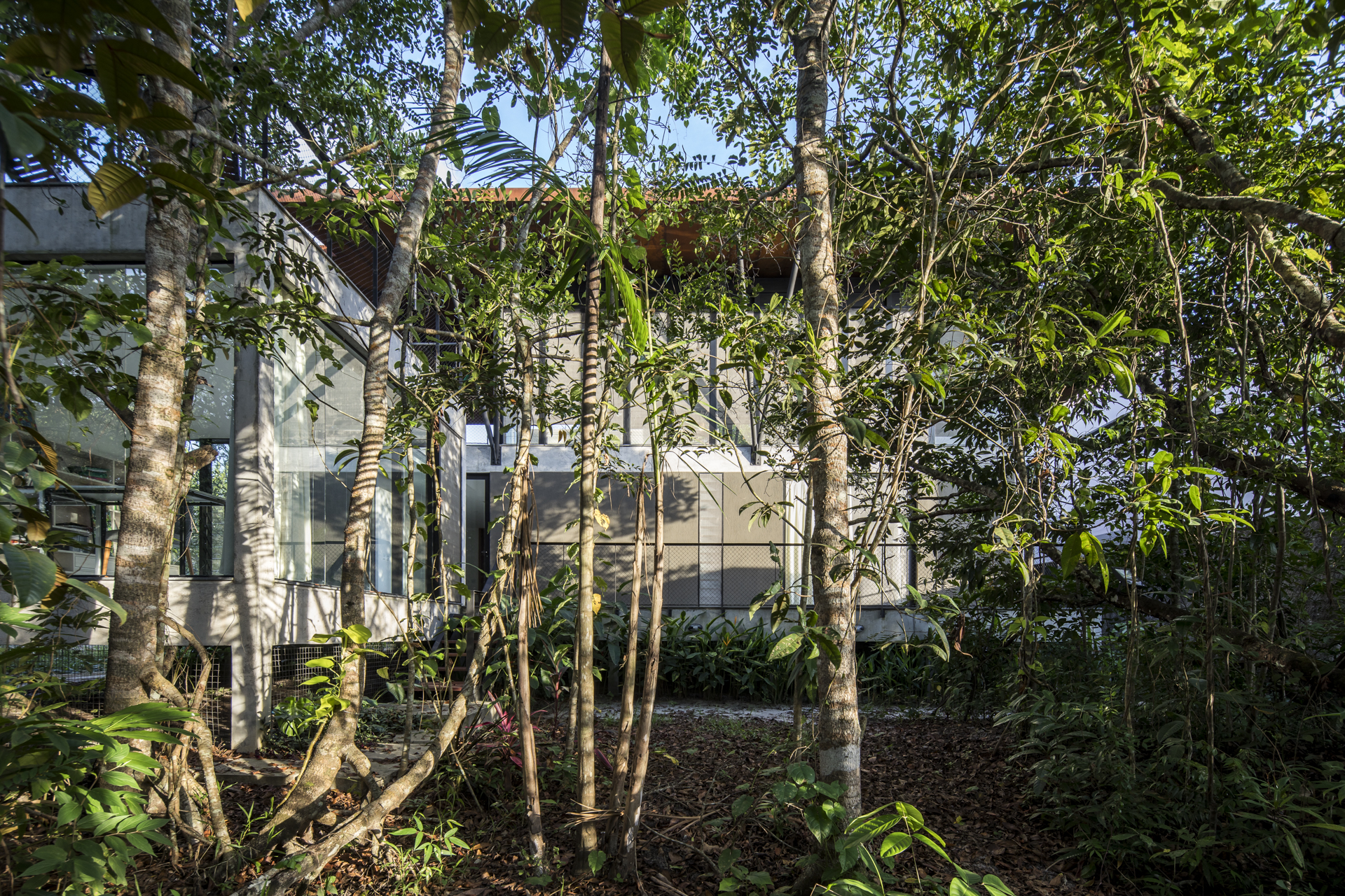 Casa Campinarana - Laurent Troost-27.jpg