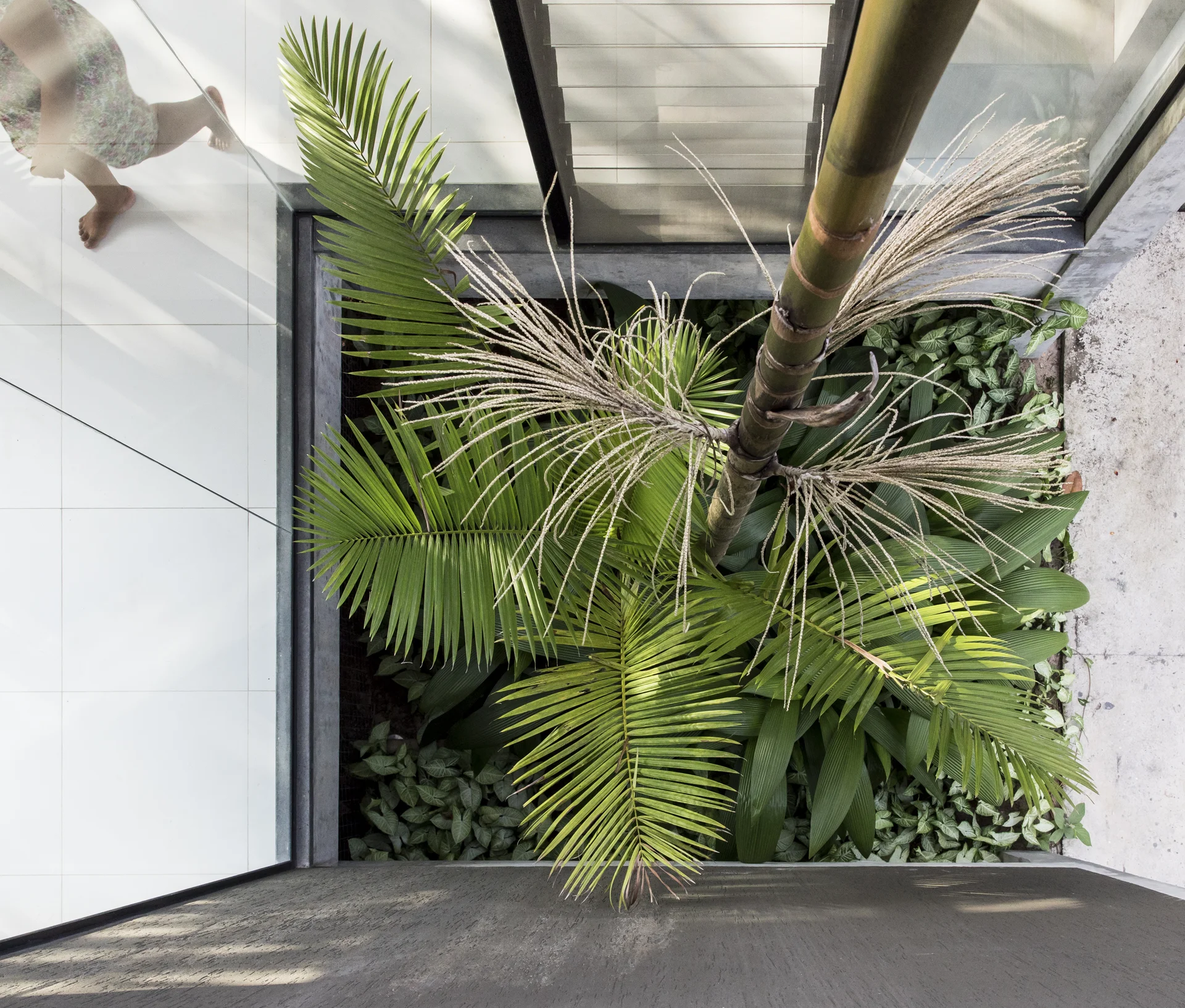 Casa Campinarana - Laurent Troost-29.jpg