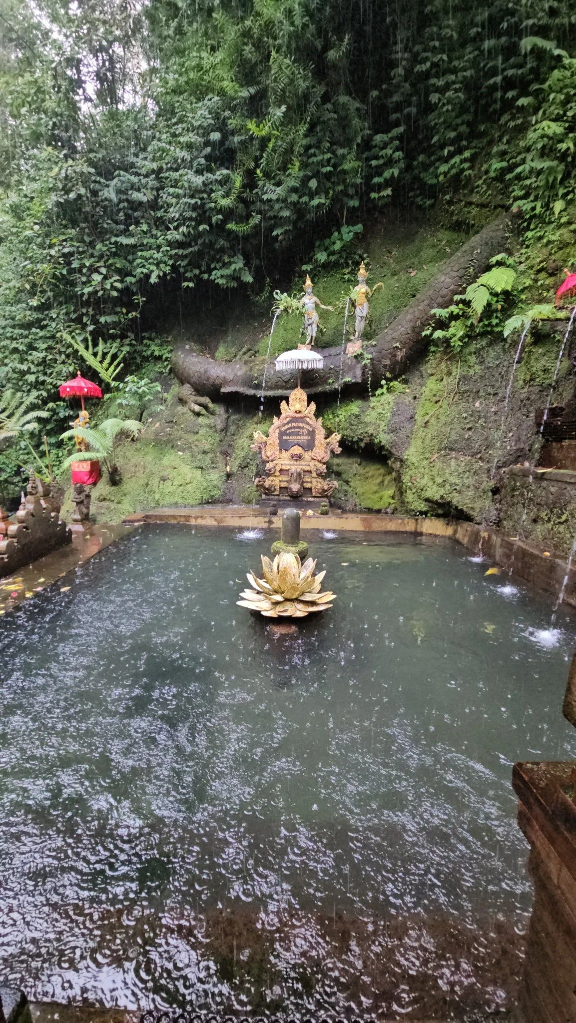 Bali is amazing! I still have a few days here and can't wait to tell you all about! It was the exact healing journey I needed after the harsh decisions to free myself from narcissistic controll. One of the things that was so hard about the last 3 yea