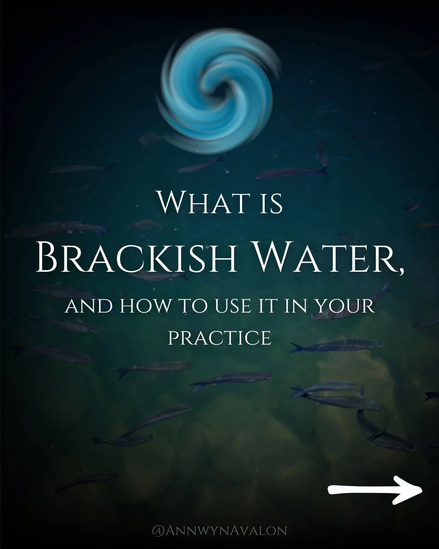 Brackish Water holds it own unique magic and can be used in your spiritual practice!

#watermagic #waterwisdom #seawitch