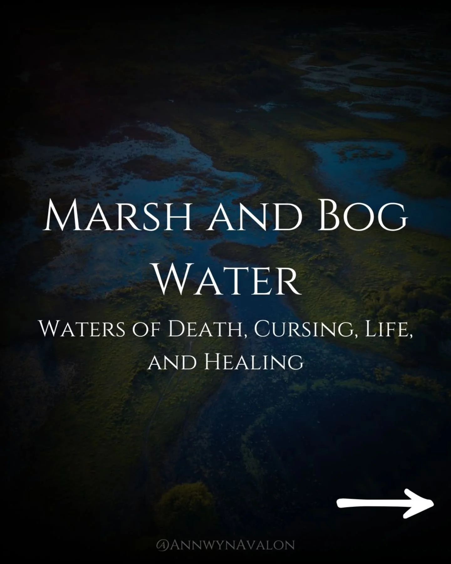 Marsh and Bog Water is magical and mysterious and holds within it the potential for change.

#watermagic #bogwitch #seawitch