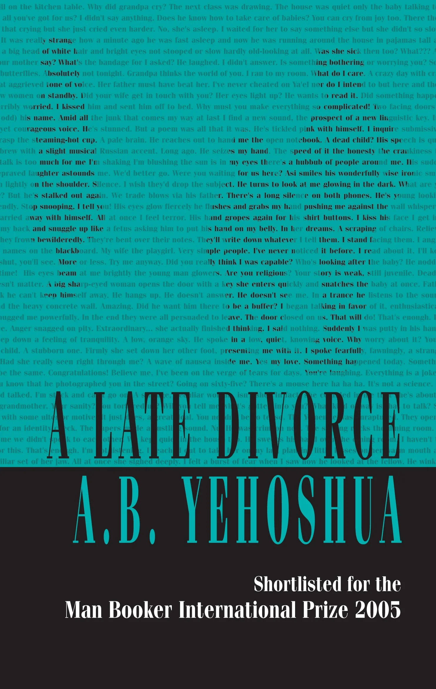 A Late Divorce 9781905559459.jpg