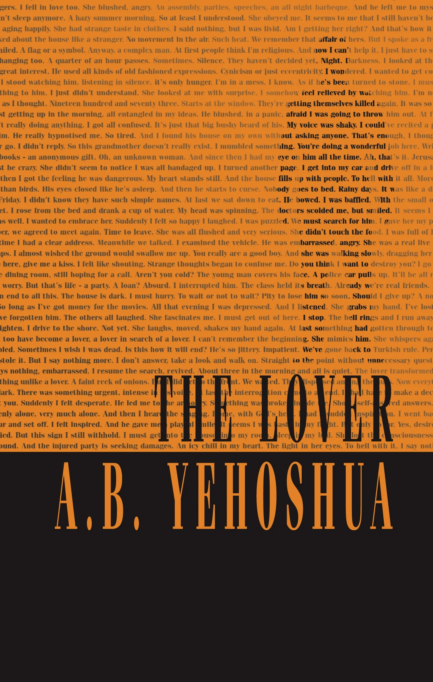 The Lover 9781905559442.jpg