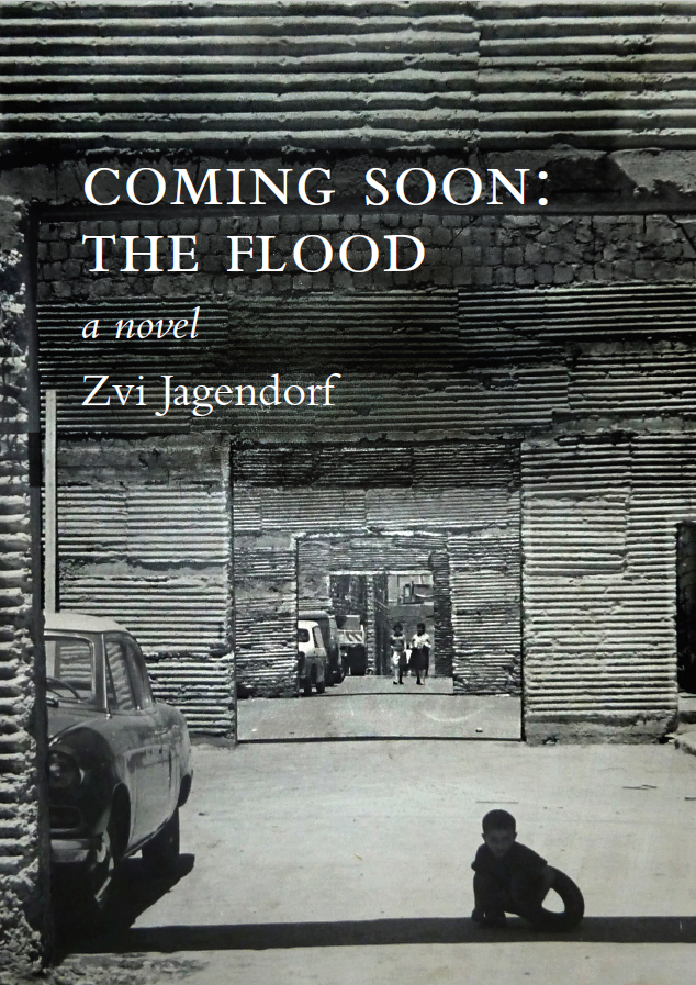 Zvi cover.PNG
