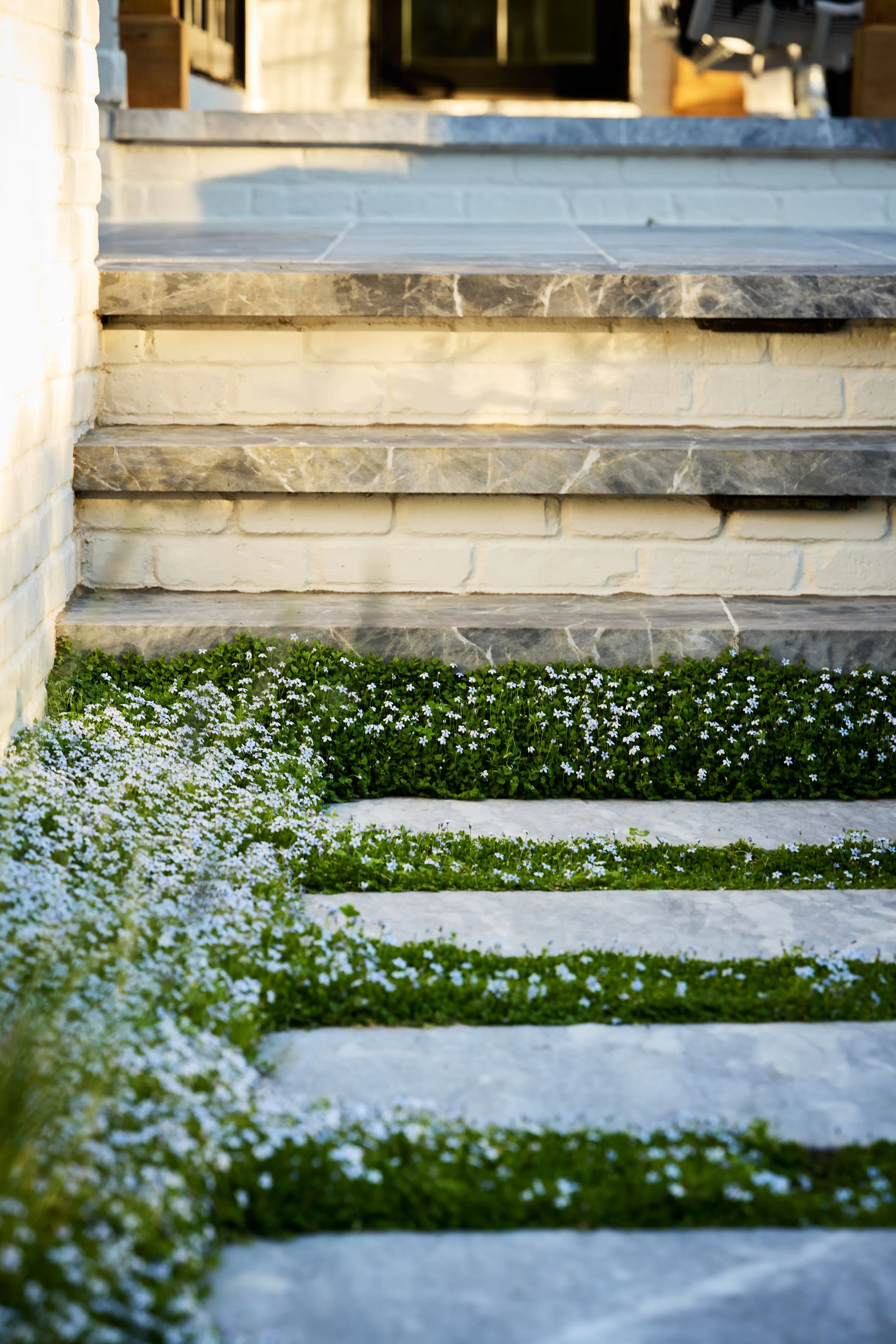 12westfield-nj-bluestone-steps-groundcover-landscape.jpg