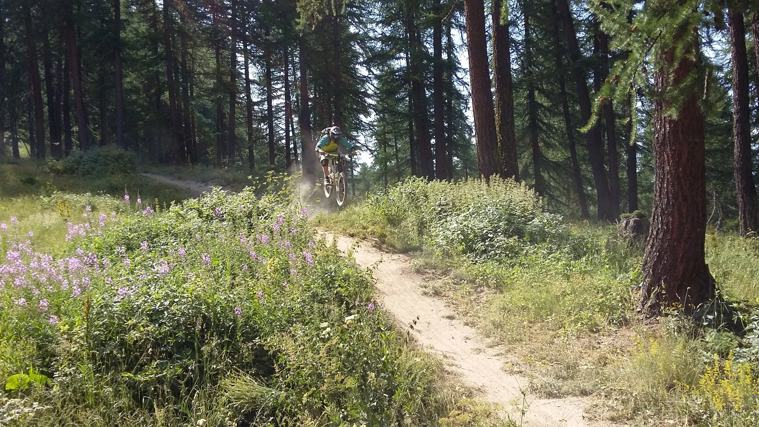 VTT DH