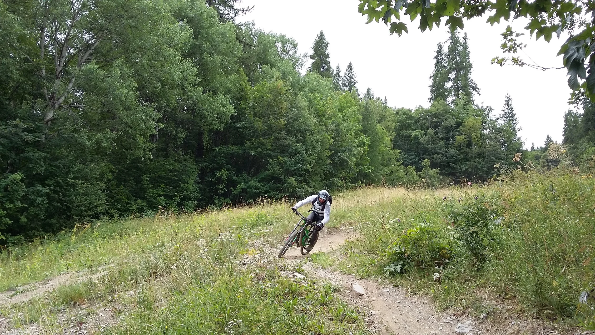 VTT DH