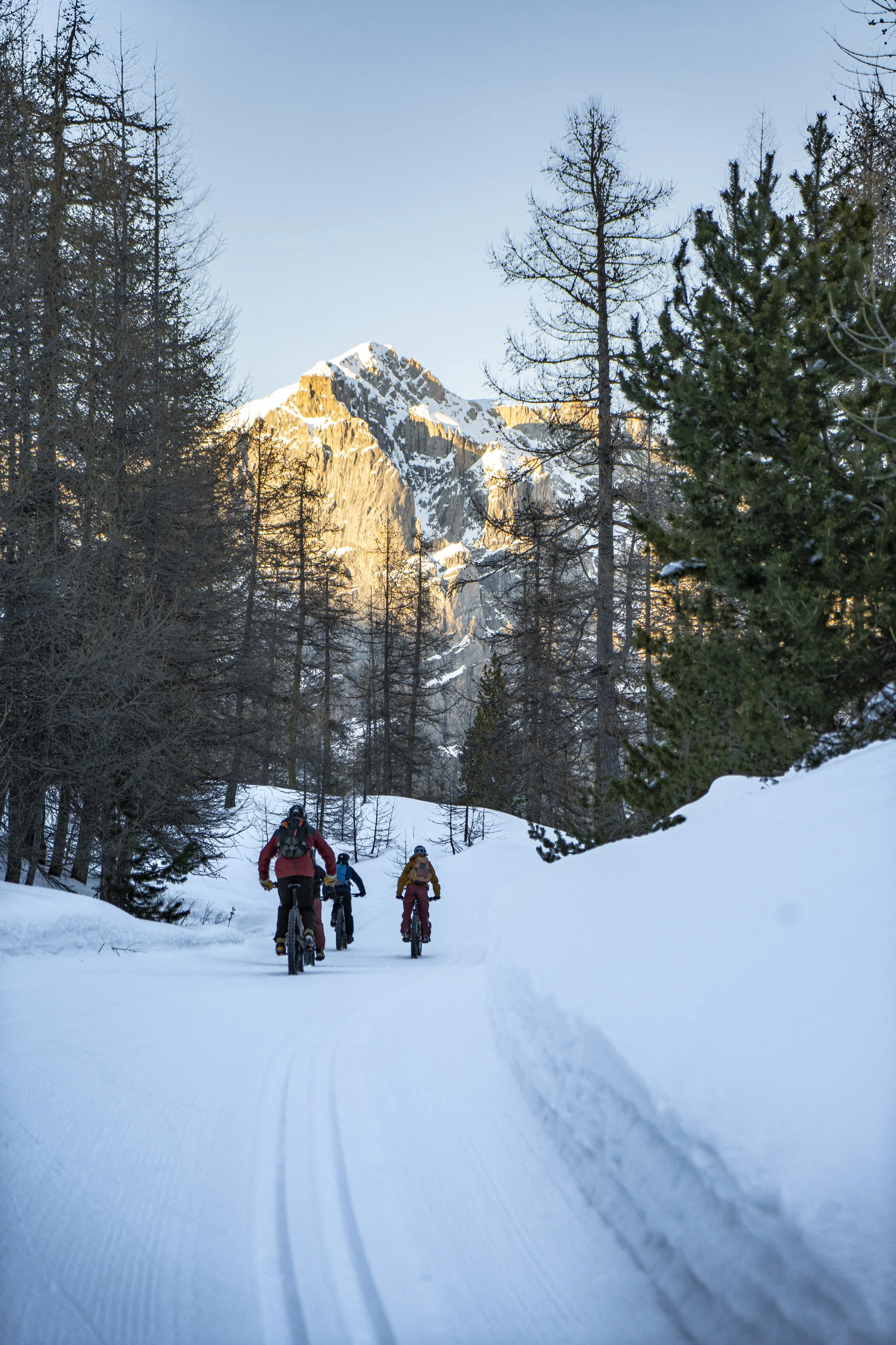 Local Vélo hiver 04.02.25-36.jpg