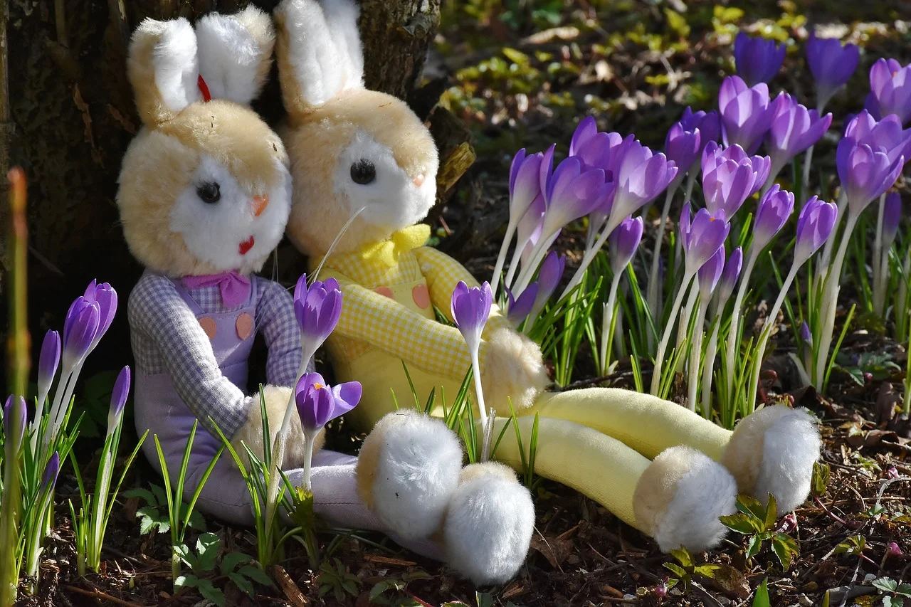 rabbit-2137741_1280.jpg