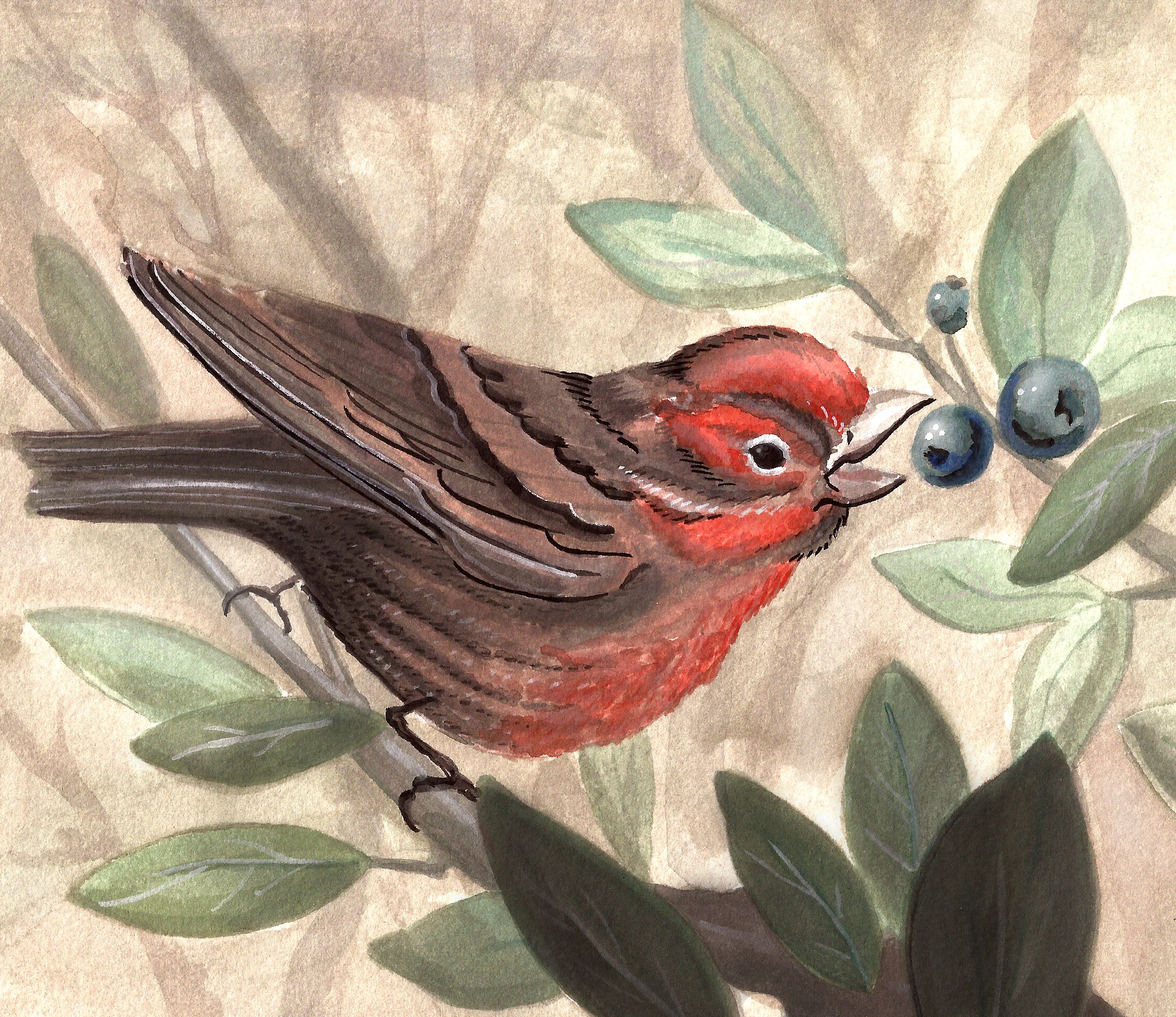 Red Bird.jpg