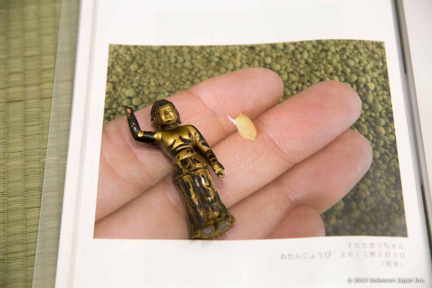 種もみの発芽と仏陀の誕生