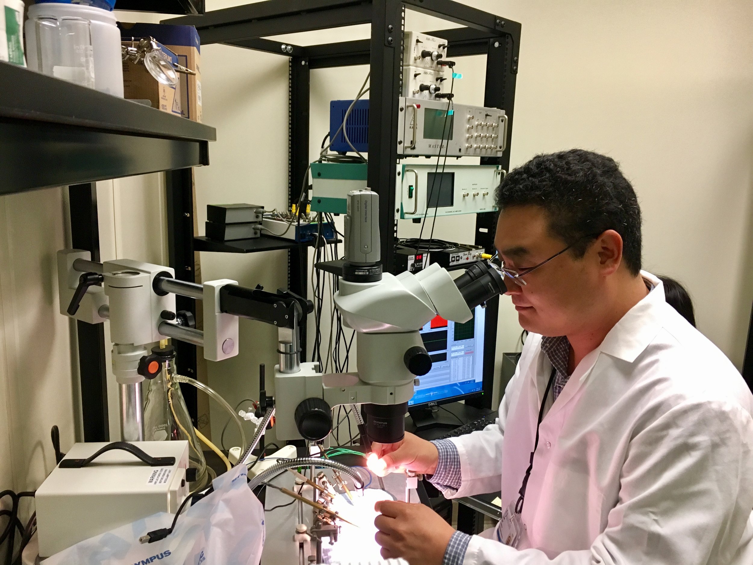 Tansey Lab2.jpg