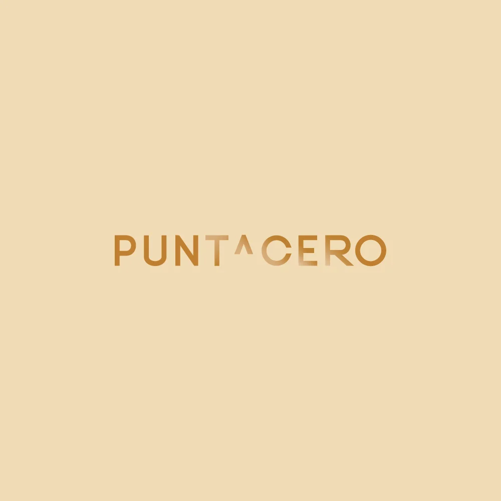 PuntaceroLogo.jpg