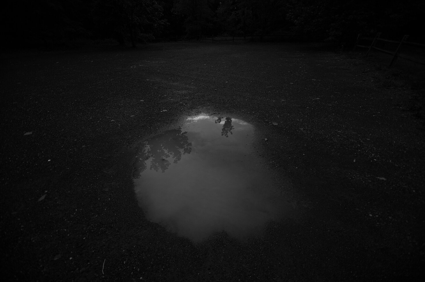 DARK PUDDLE1BW.jpg