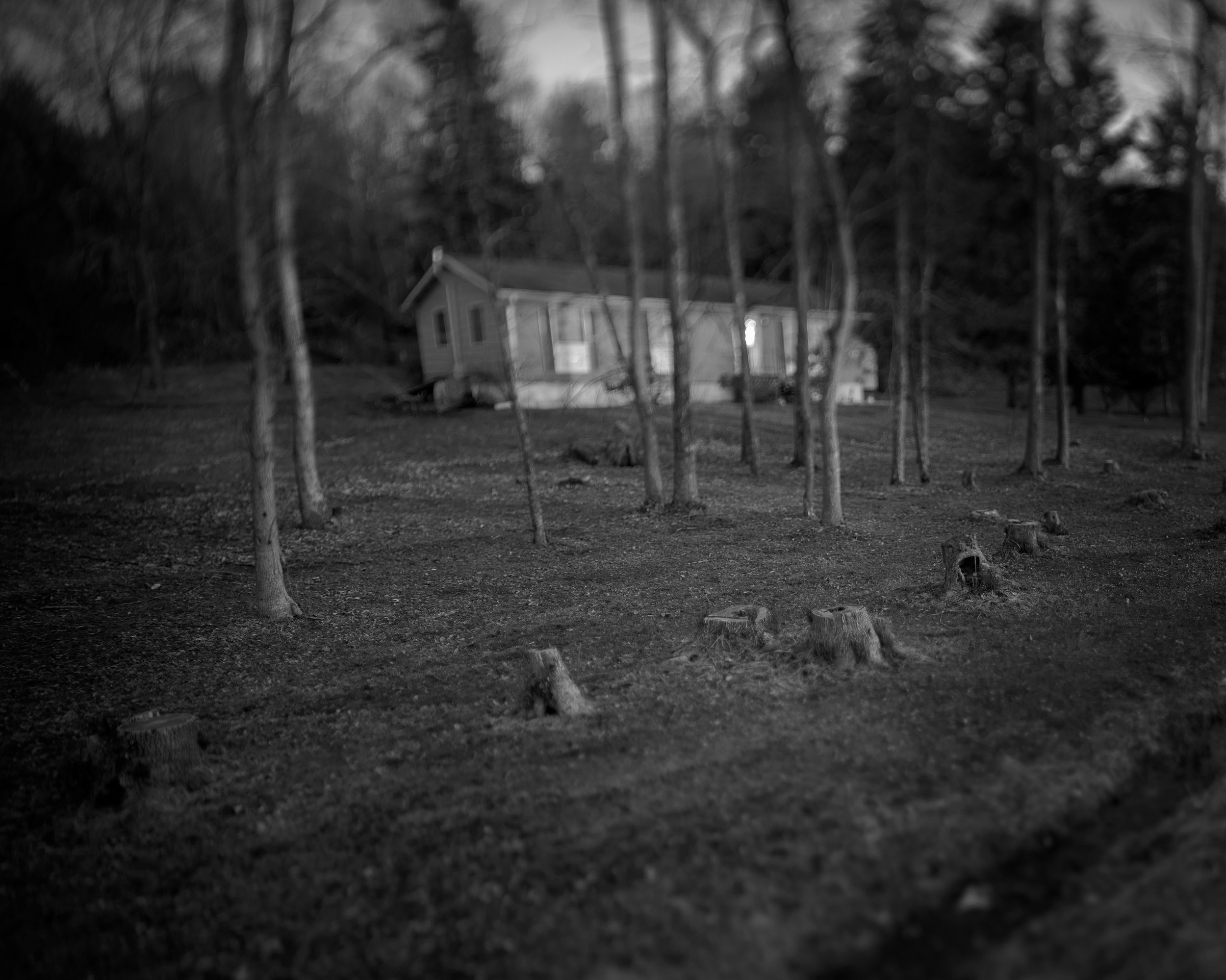 HOUSE AND STUMPS3bw.jpg