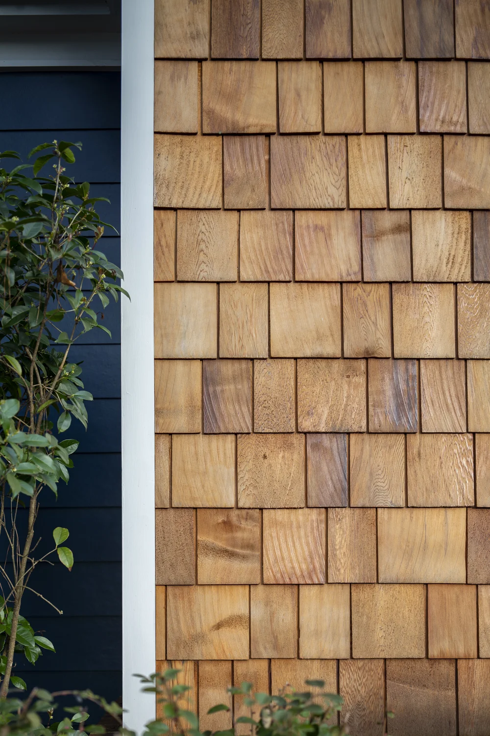 313 W Glenwood-8.jpg