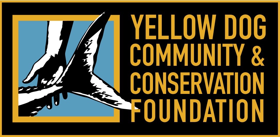 Yellow Dog Community & Conservation Foundation