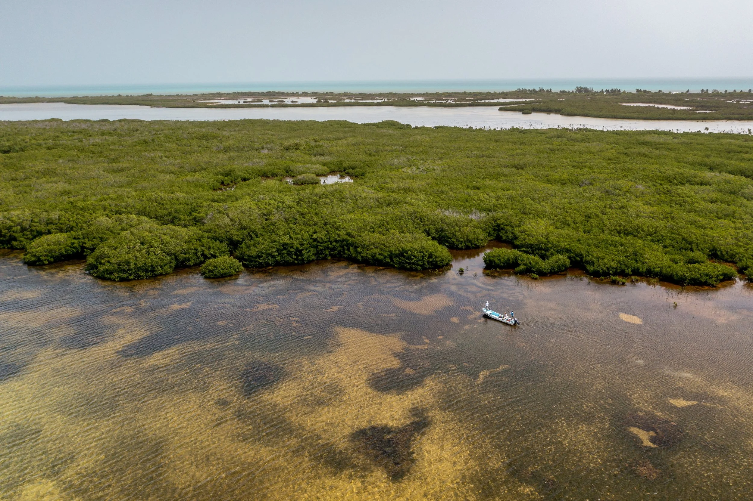2022-Holbox-KLUG-36.jpg