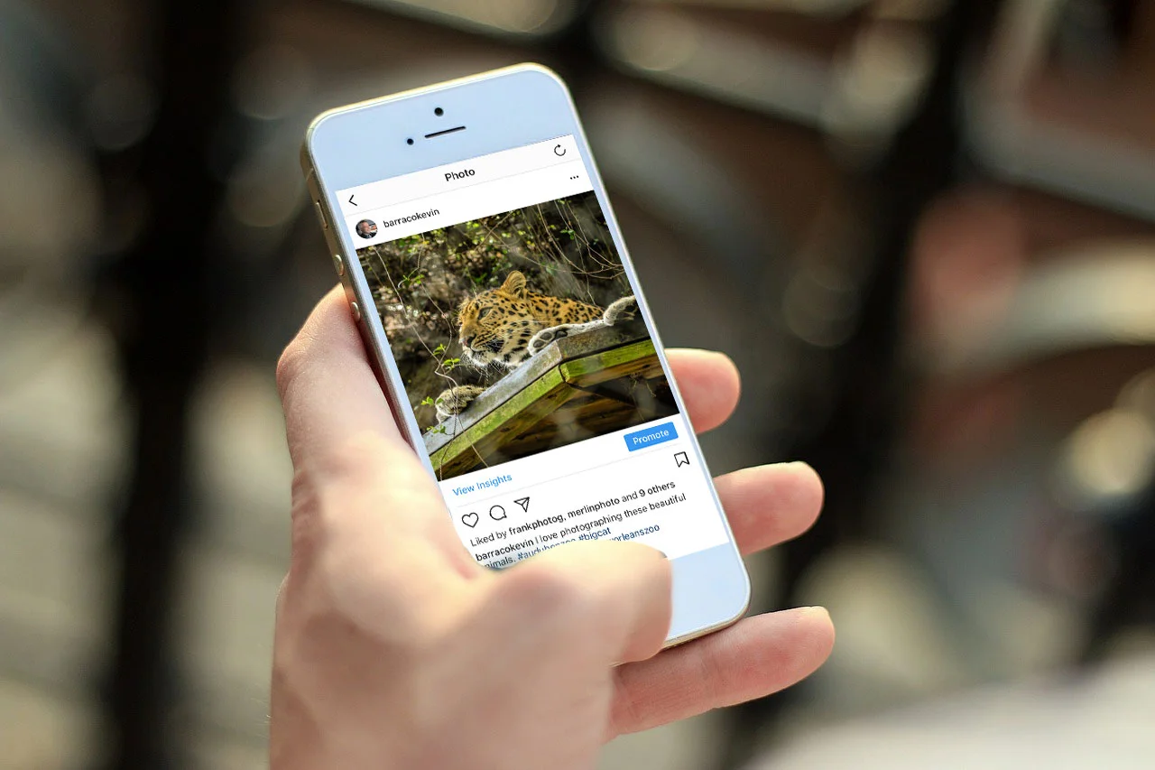 The Power of Hashtags on Instagram & Facebook