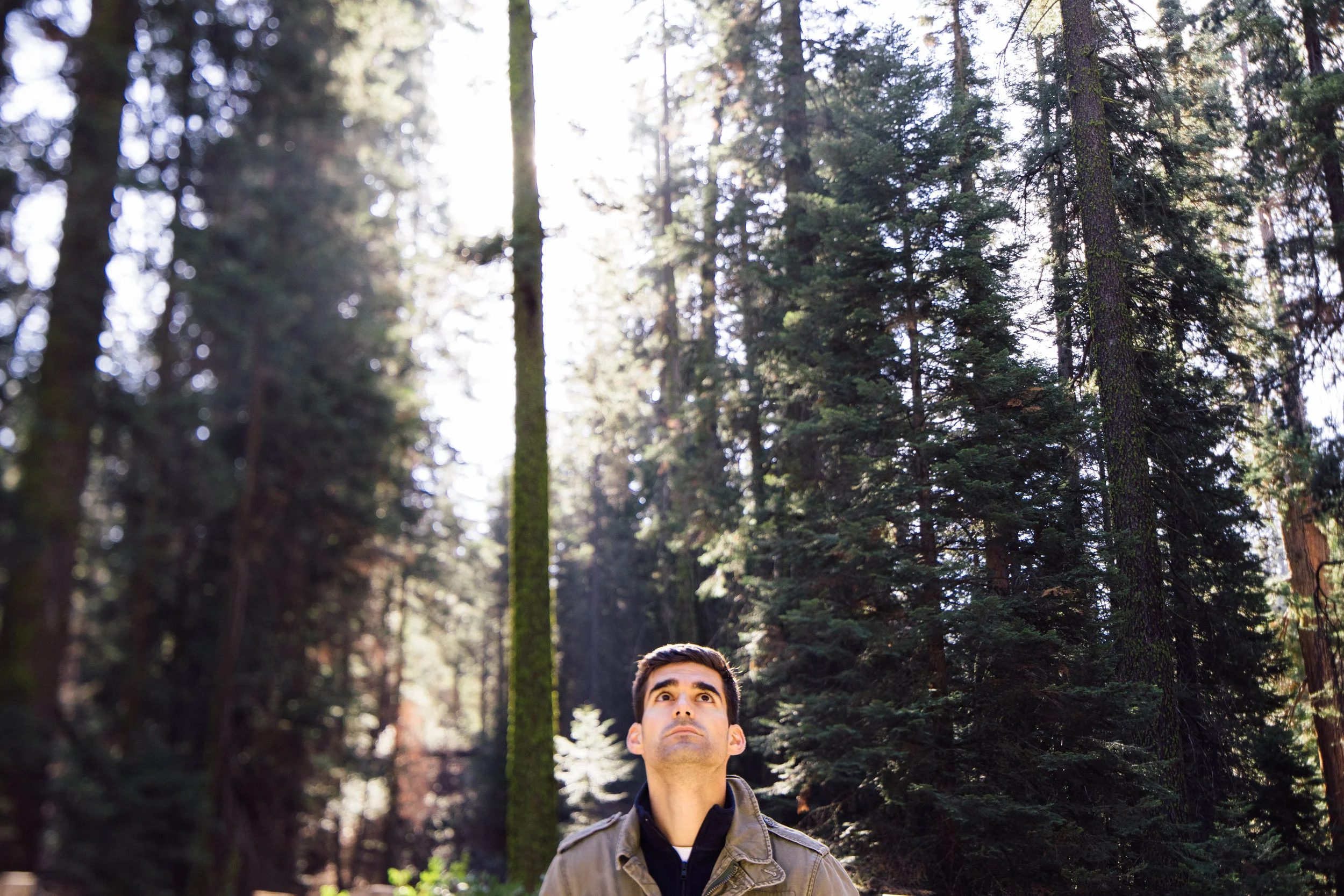 sequoia-national-park-photos-by-samantha-look.jpg