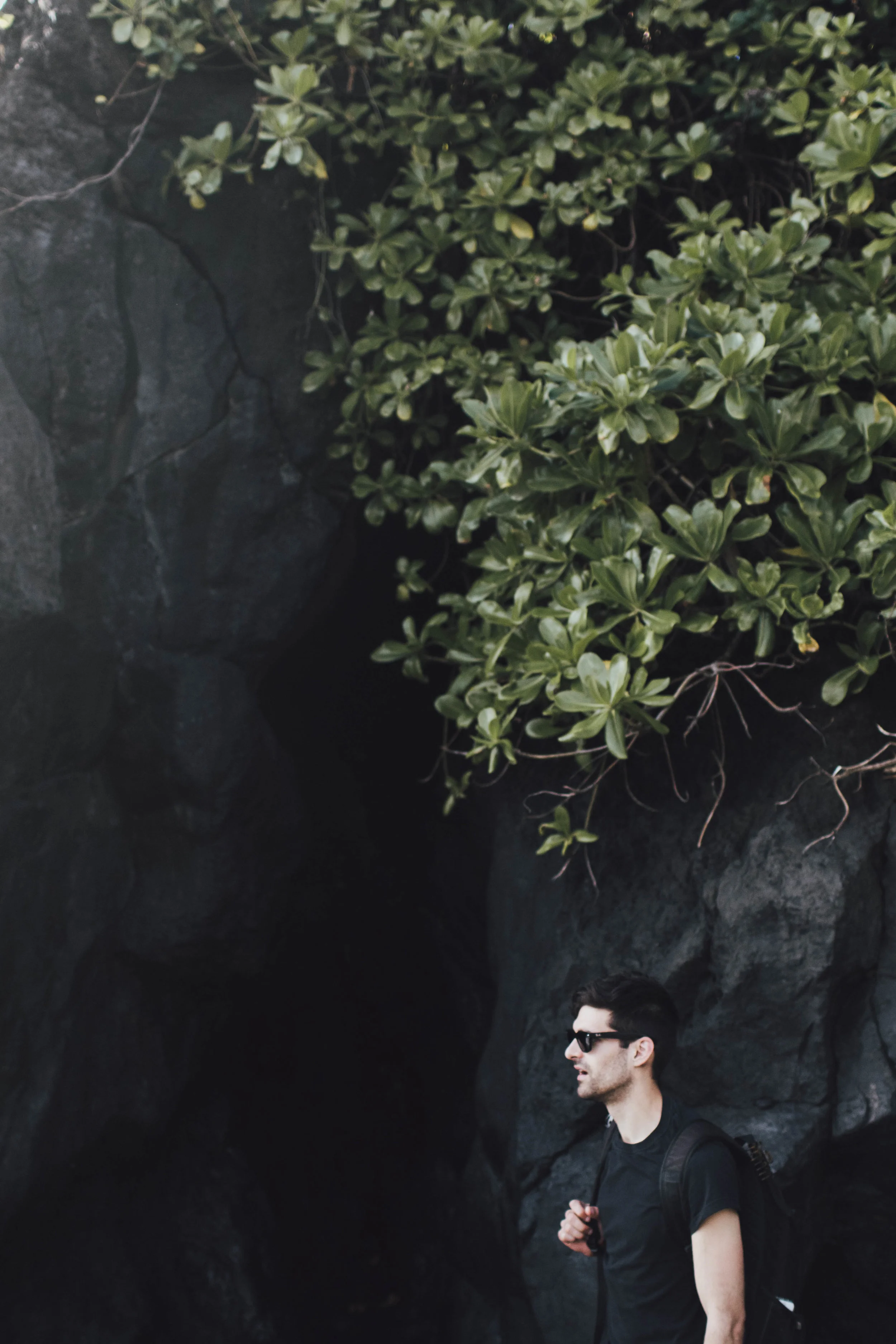 road-to-hana-maui-photos-by-samantha-look.jpg