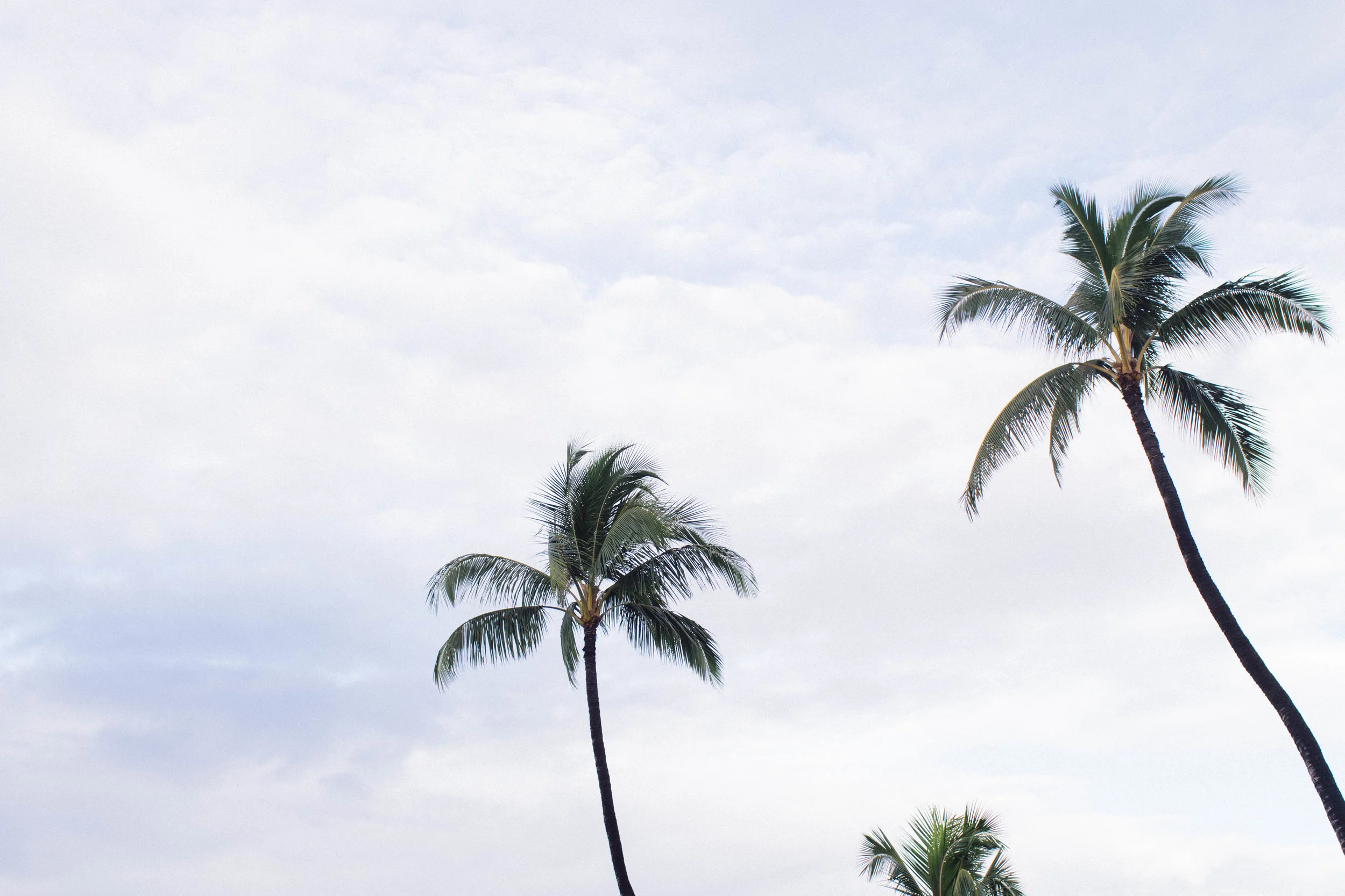 maui-photos-by-samantha-look.jpg