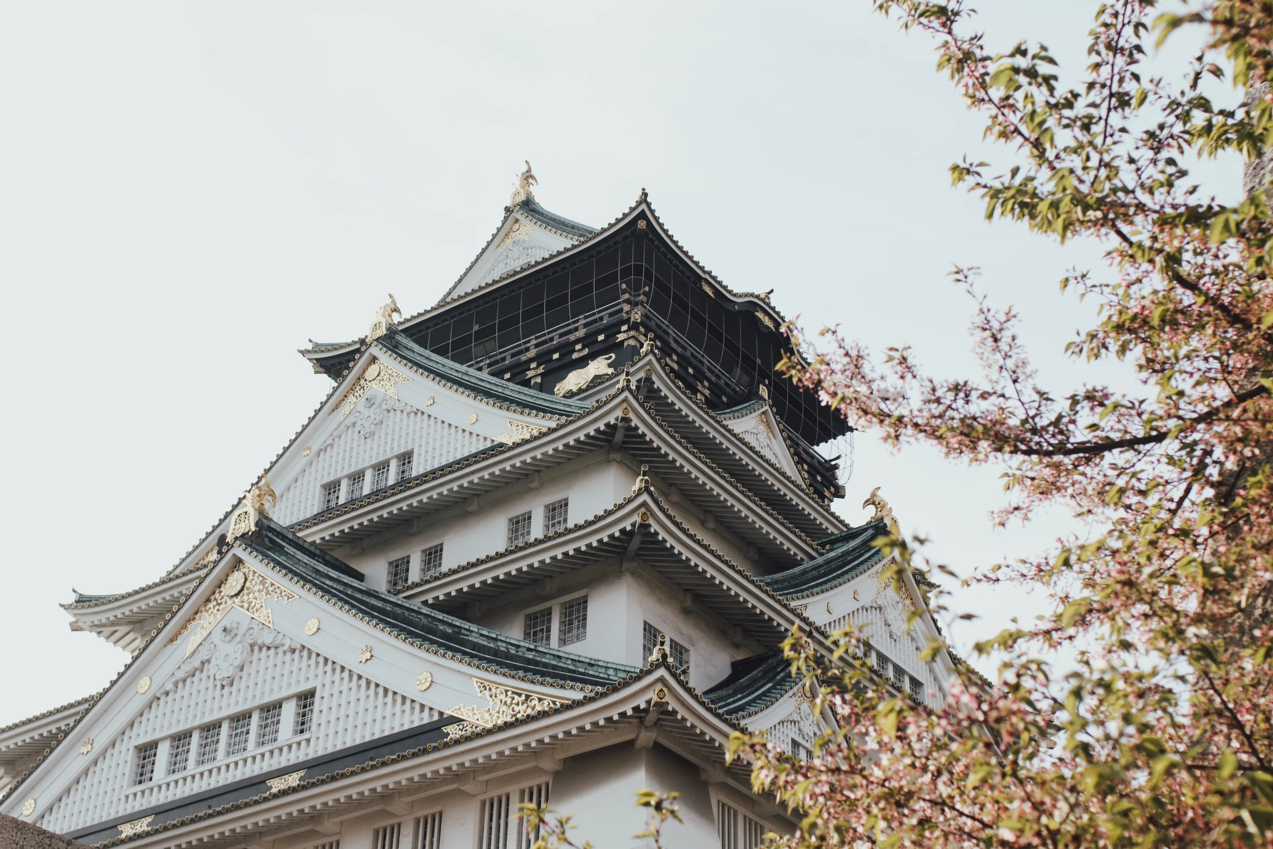 osaka-japan-photo-by-samantha-look.jpg
