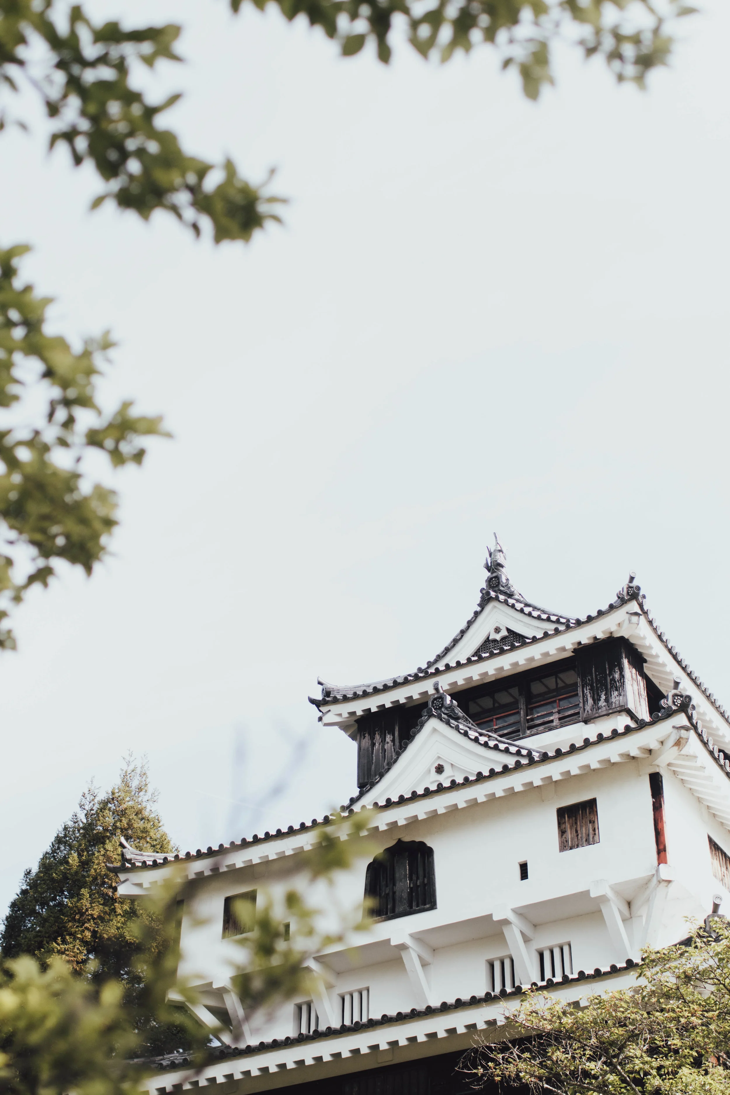 iwakuni-castle-japan-photo-by-samantha-look.jpg