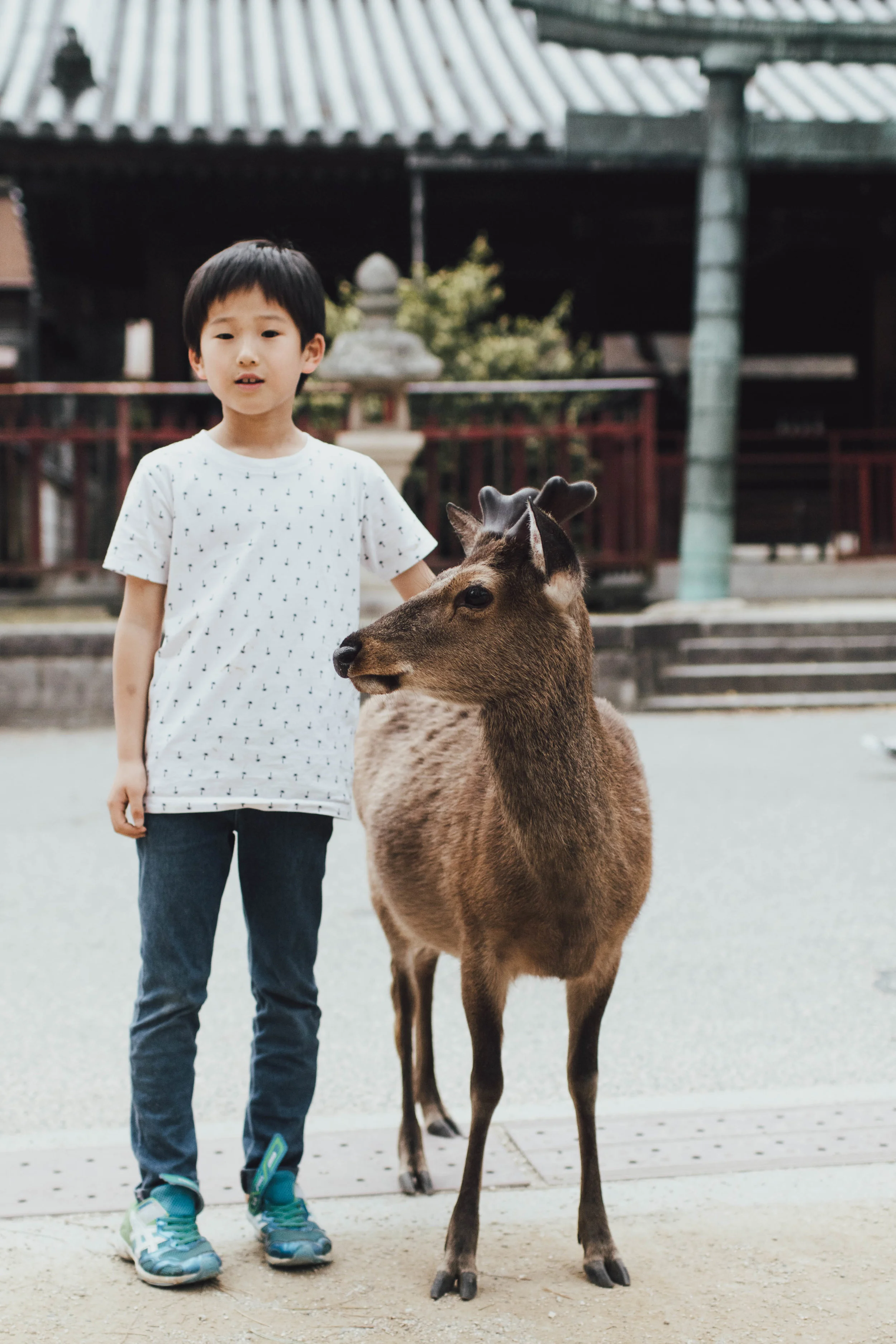 miyajima-japan-photo-by-samantha-look.jpg