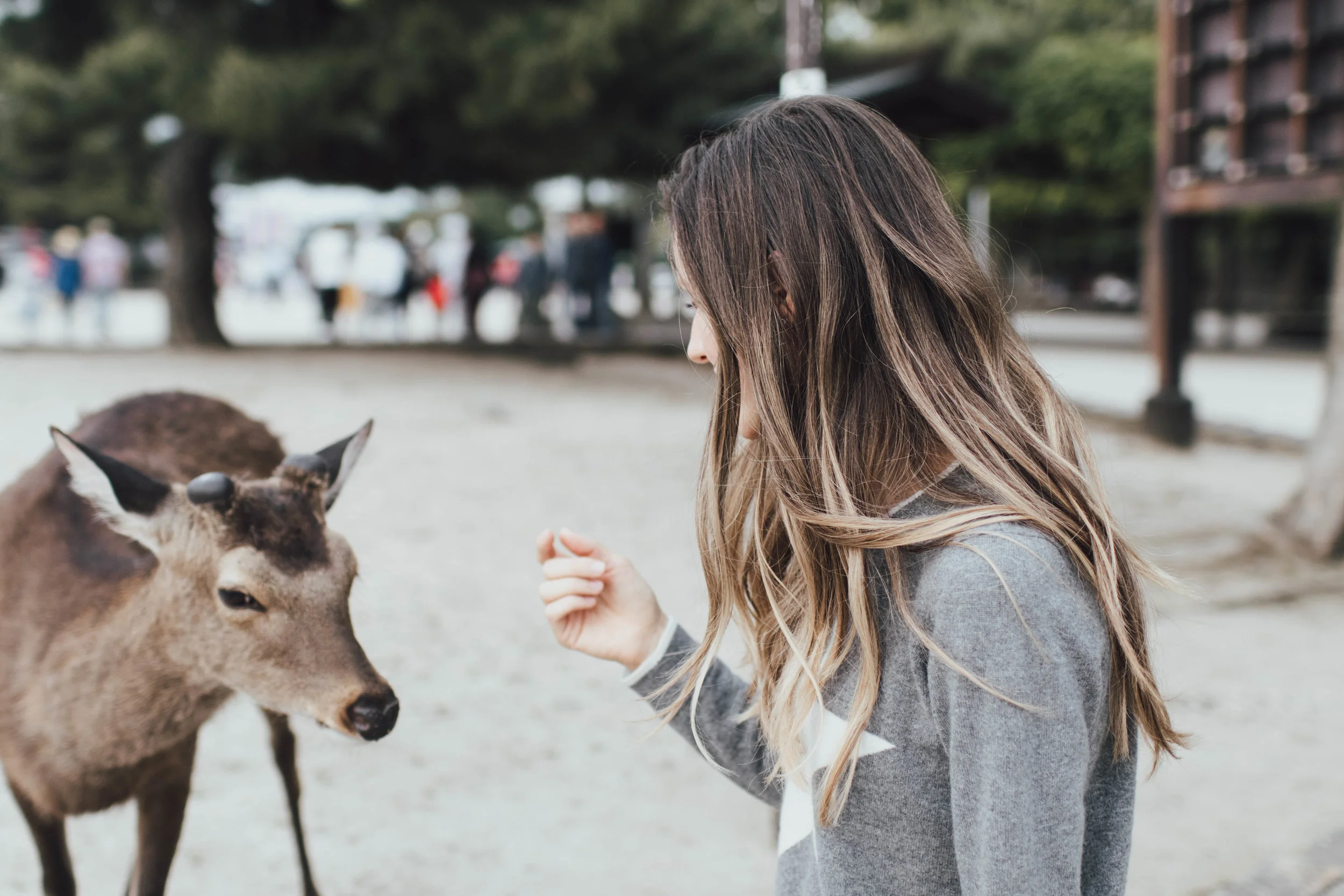 miyajima-japan-photo-by-samantha-look.jpg