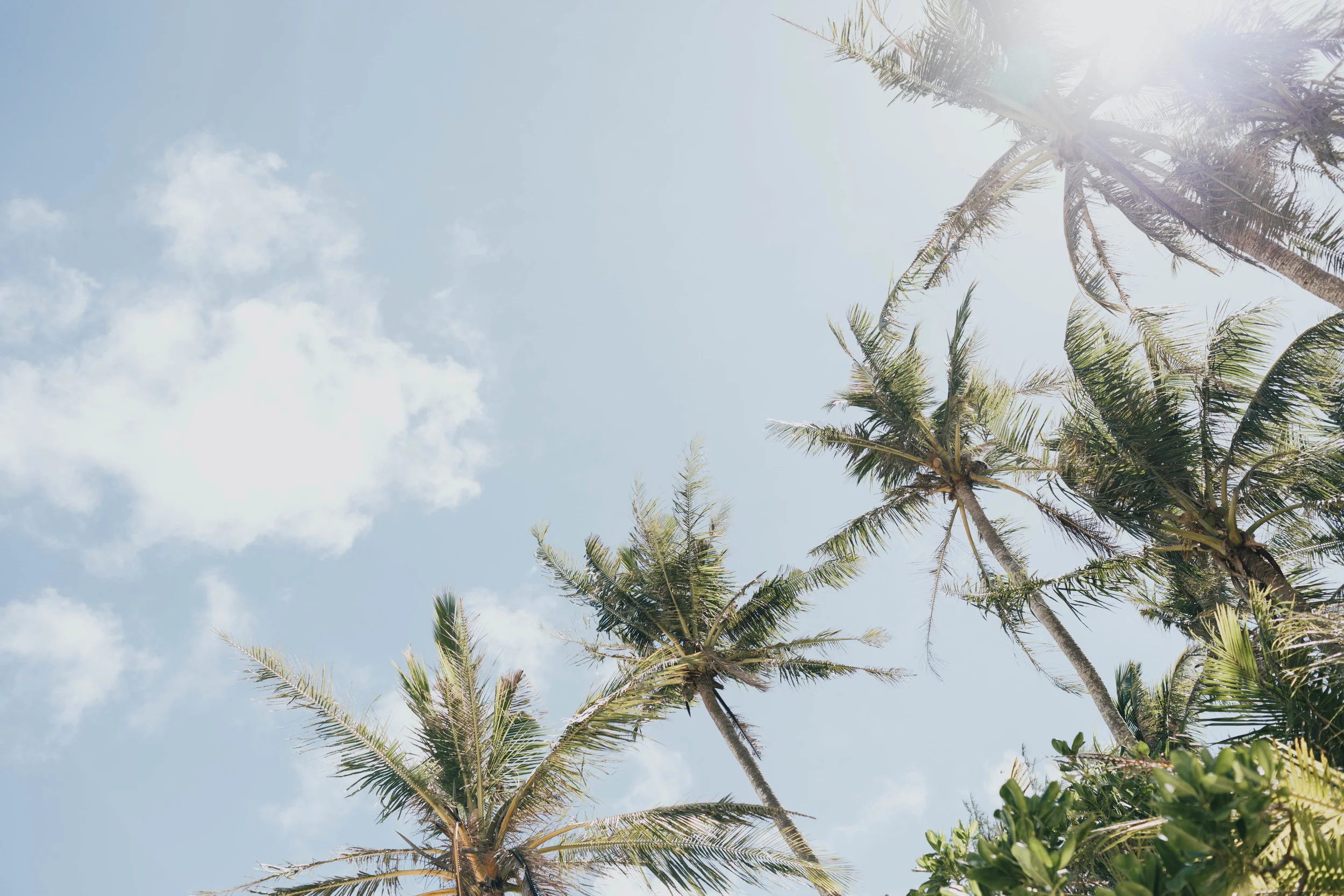 guam-photo-by-samantha-look.jpg