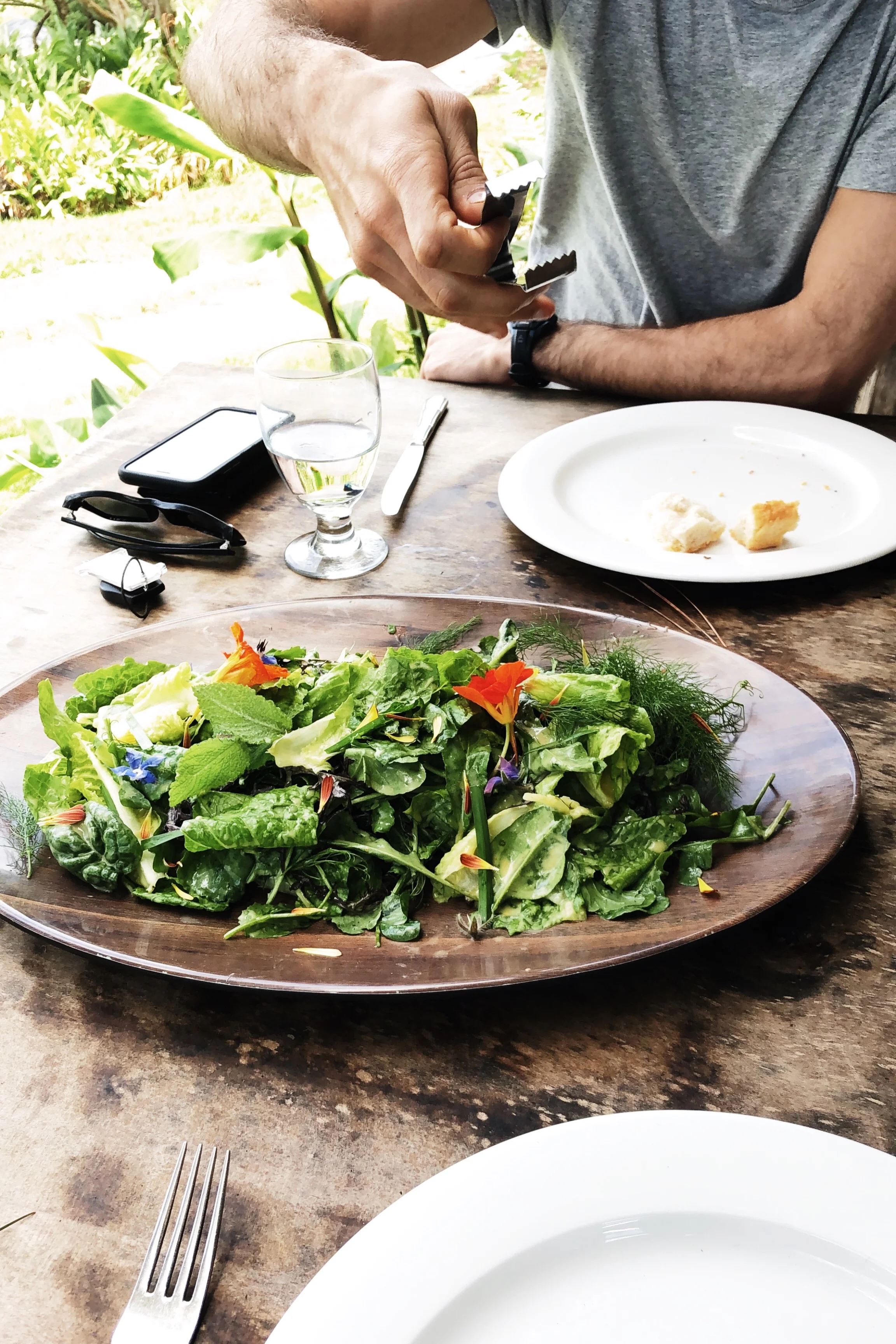 oofarm-maui-photo-by-samantha-look.jpg