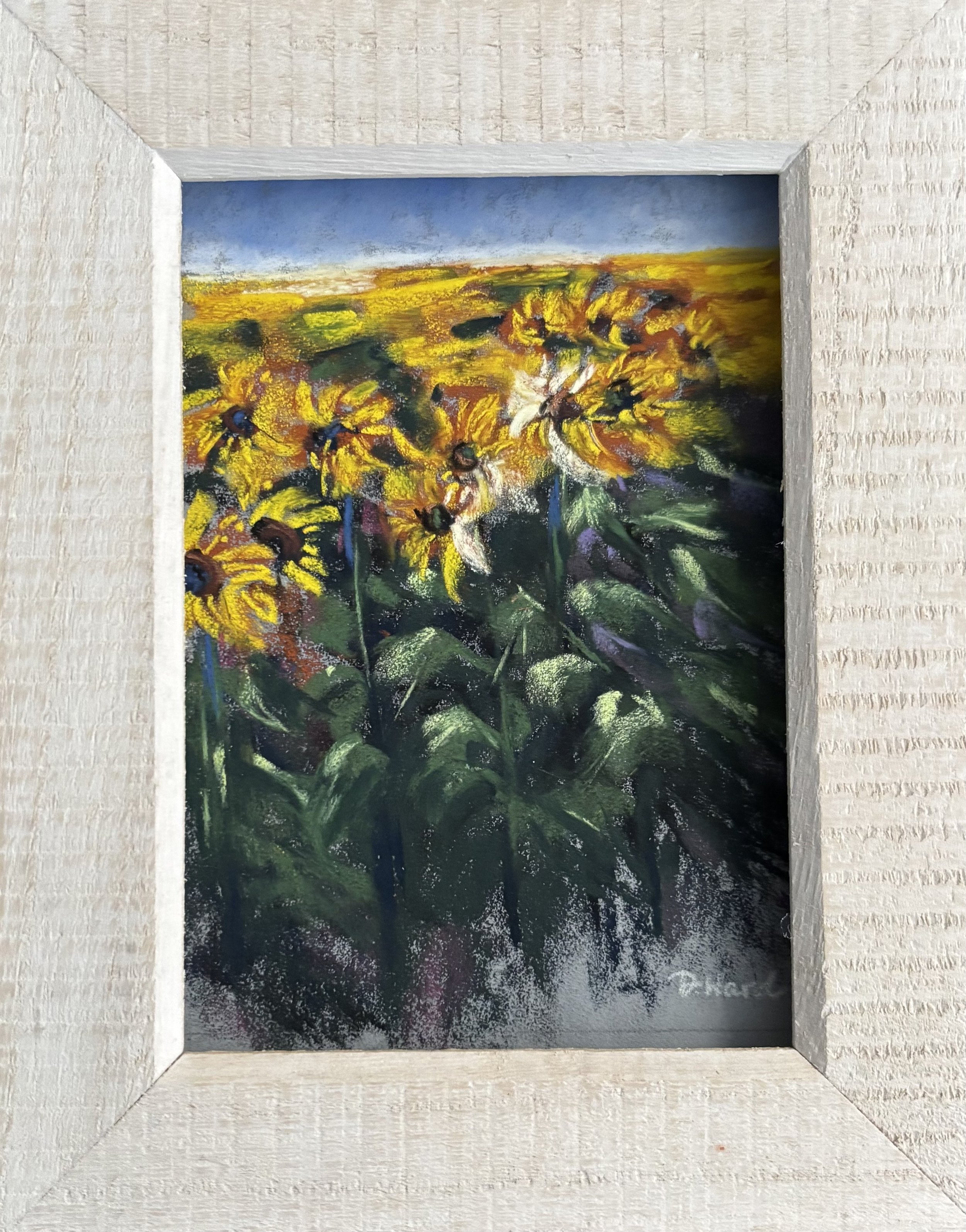 field of sunshine 2 frame.jpg