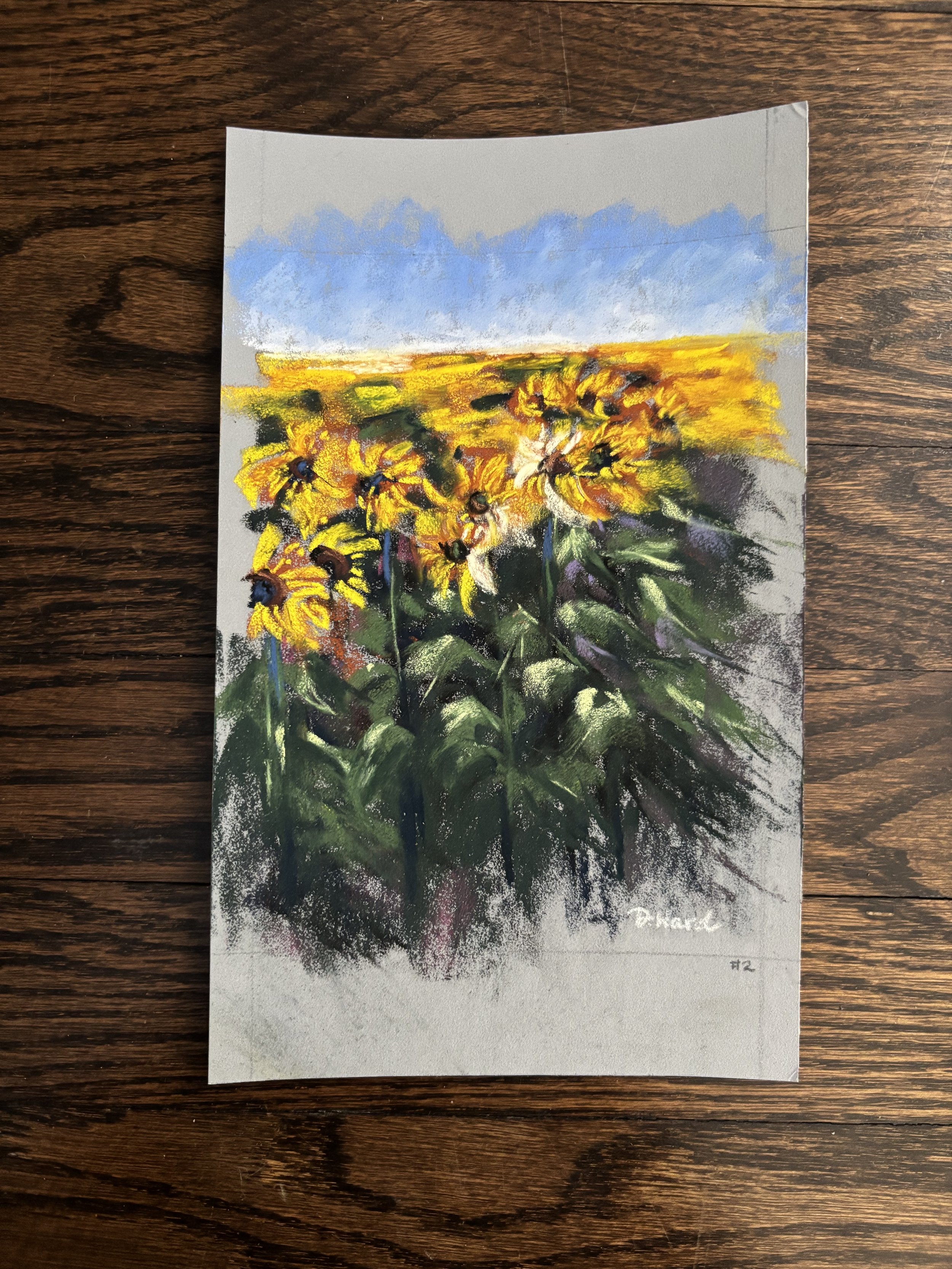 field of sunshine 2.jpg