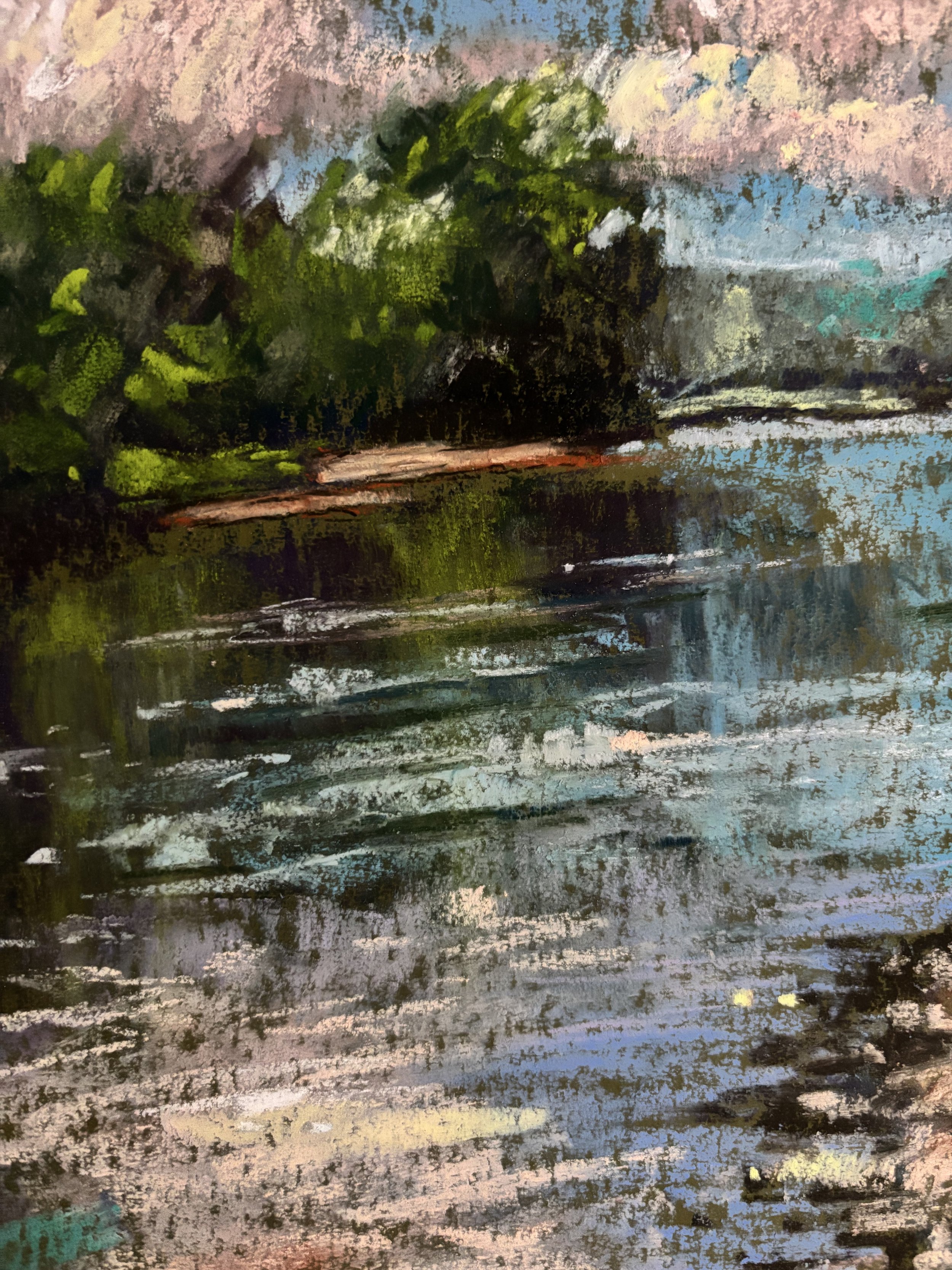pond closeup.jpg