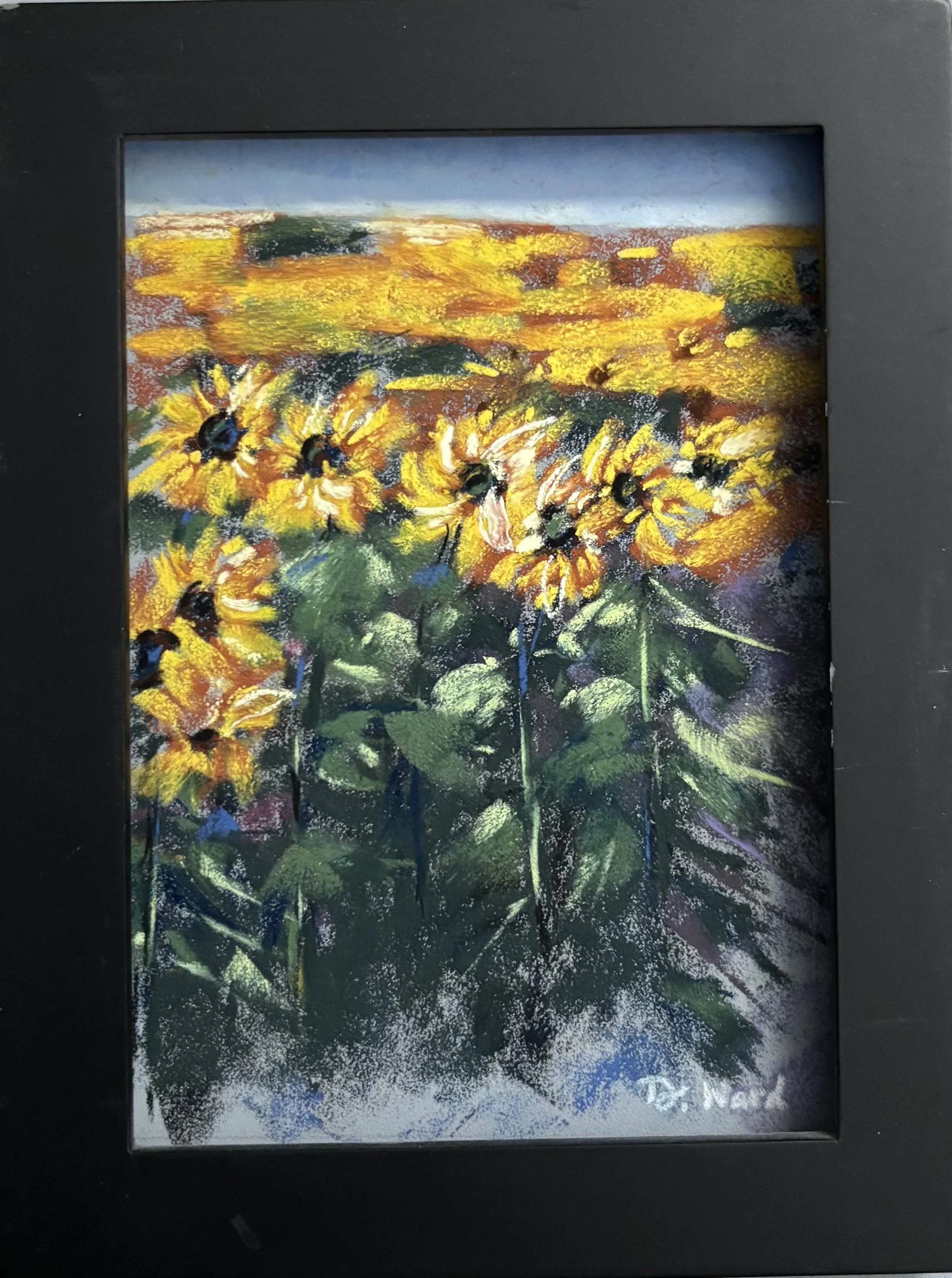 field of sunshine 1 frame 2.jpg